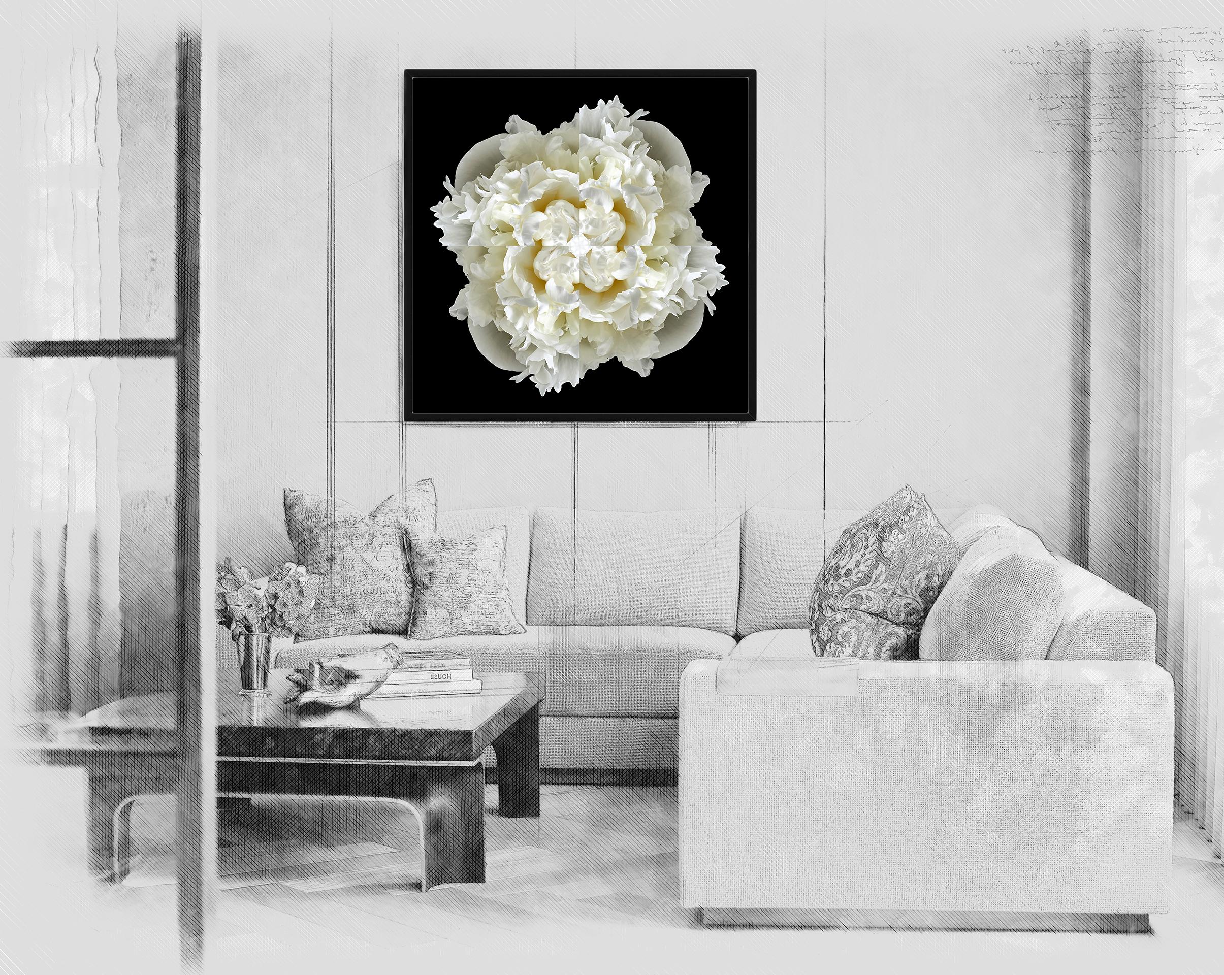 Dieser Druck zeigt die spielerische Beziehung zwischen natürlichen Formen und Pflanzen. In diesem Bild nutzt Erin die natürliche Komposition der weißen Pfingstrose und ihre eigene Collagearbeit, um mit der Blume ein hypnotisches Mandala zu schaffen.