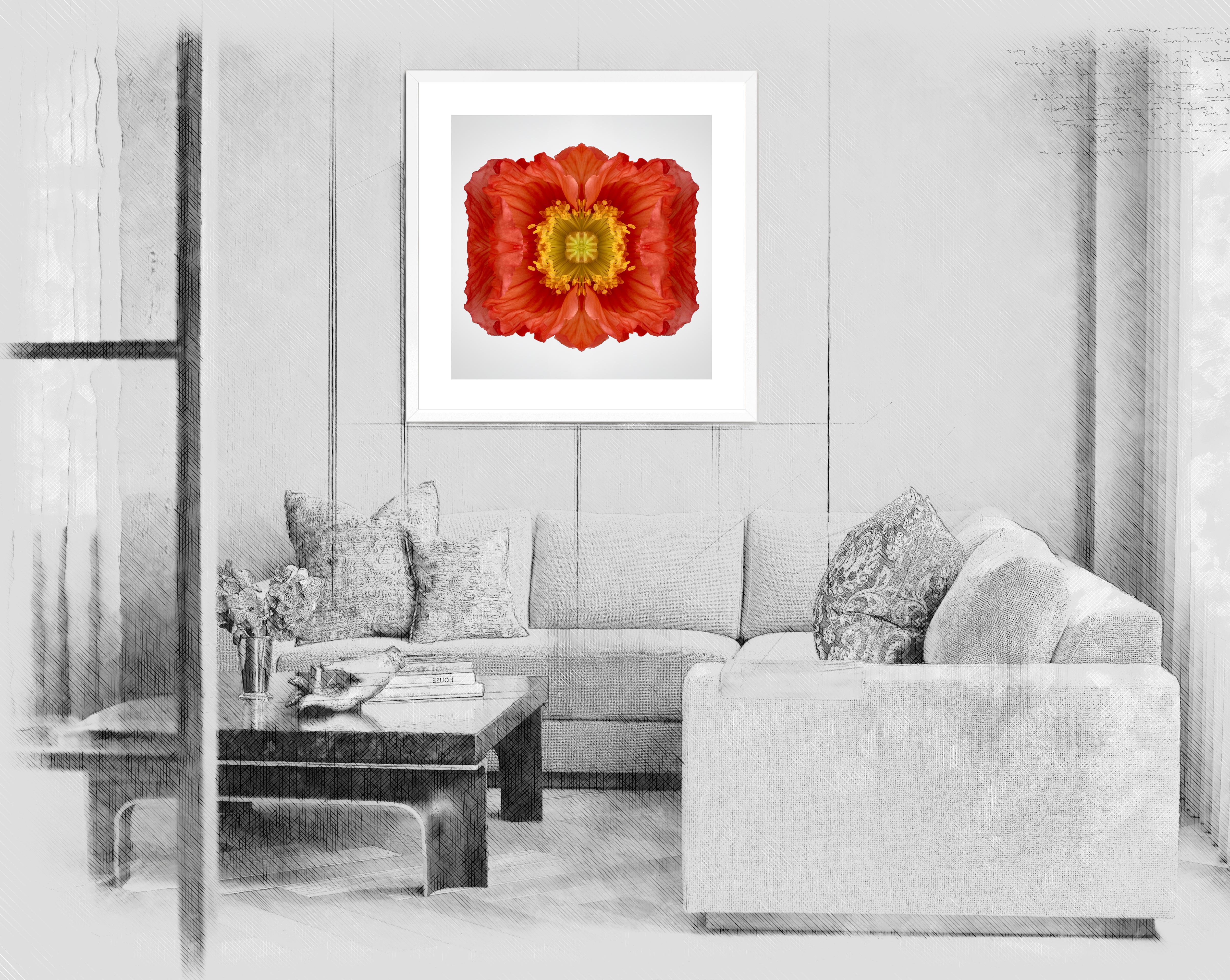 Poppy - Photograph by Erin Derby