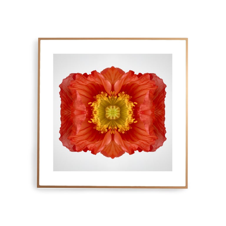 This print features the playful relationship between natural forms and botanicals. In this image Erin uses the natural composition of the orange red poppy, and her own collage work, to create a hypnotic mandala with the floral. Some describe it as a