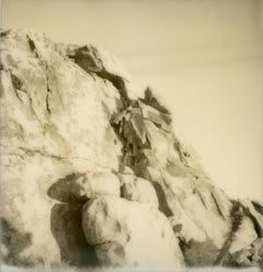 Fratello (Dude Ranch) - 21° secolo, Polaroid, Ritratto