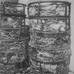 Crabtraps (San Francisco) - 21° secolo, Polaroid, Paesaggio