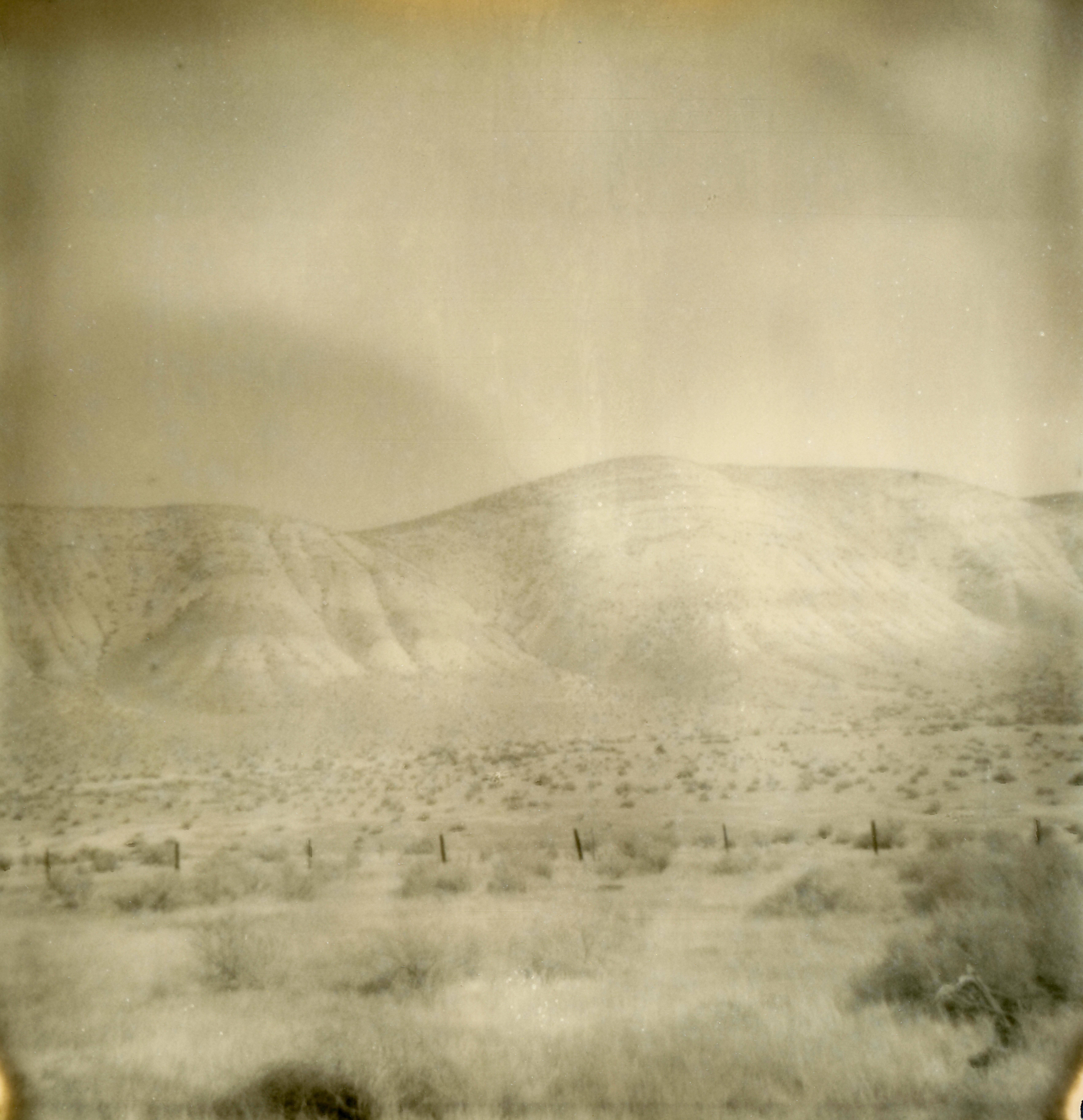 Father (Dude Ranch) - 21st Century, Polaroid, Portrait - Photograph by Erin Dougherty