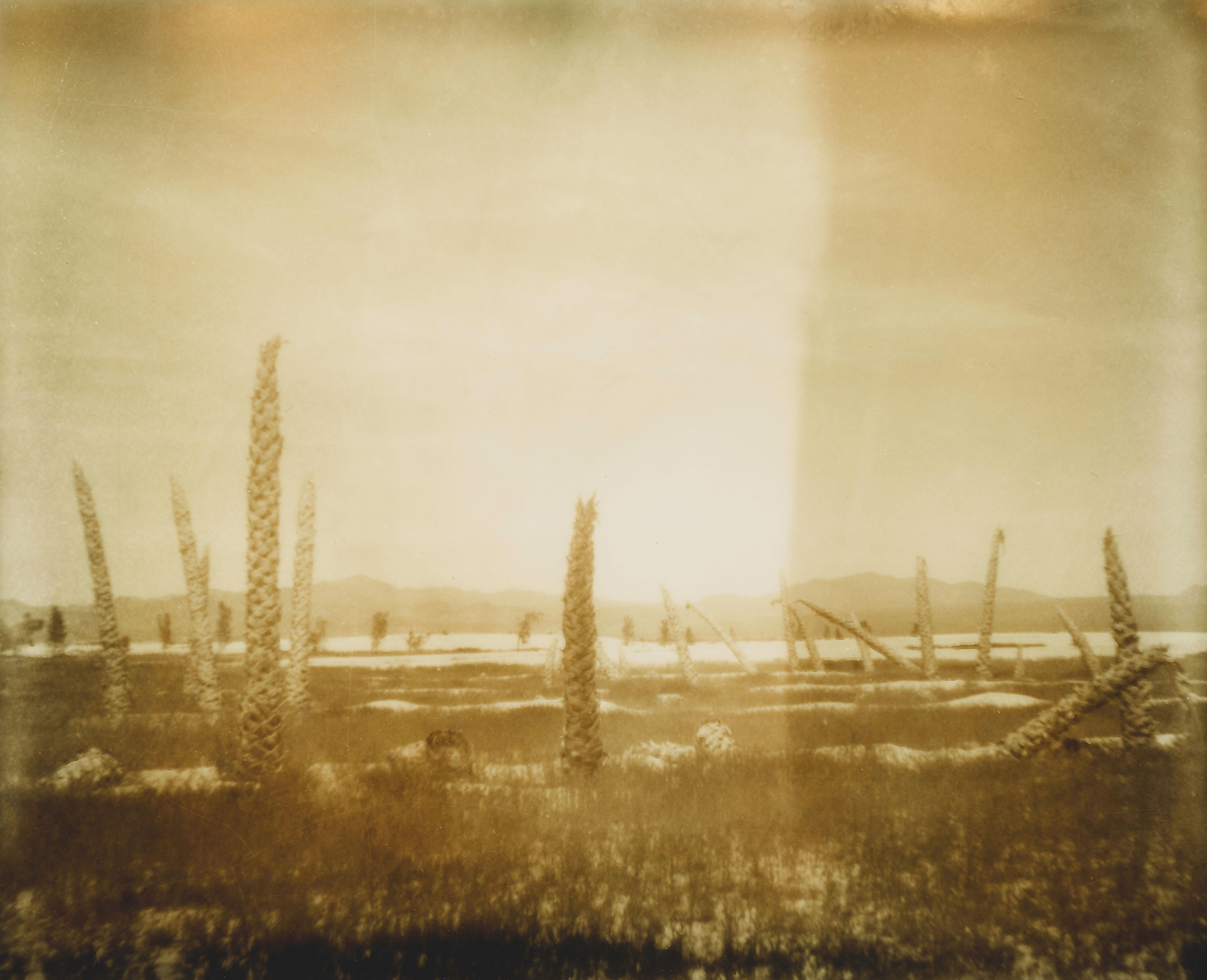 Color Photograph Erin Dougherty - Oasis II (Le désert en sépia) - 21e siècle, Polaroid, paysage