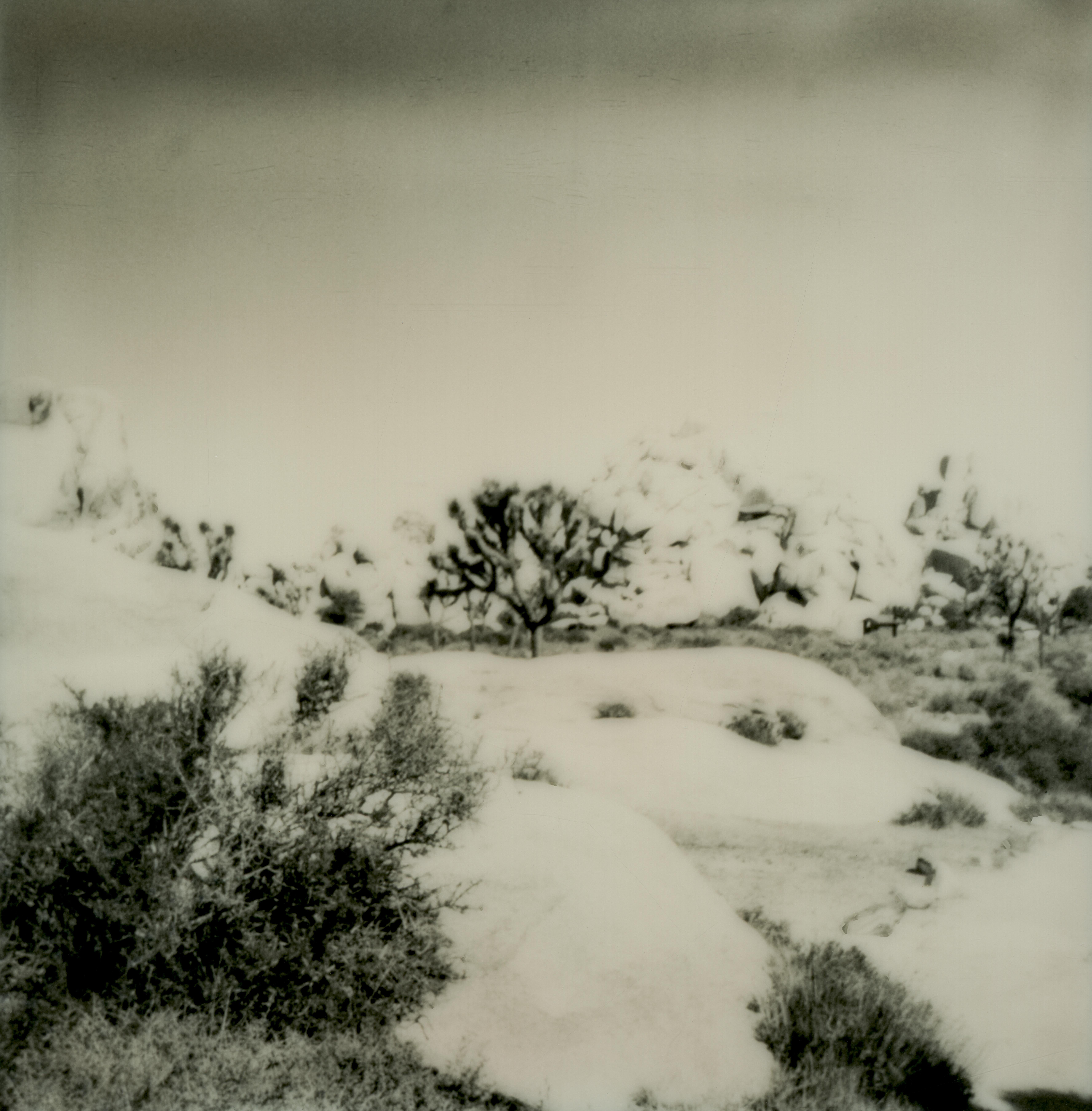 Erin Dougherty Black and White Photograph - Sentinel (Joshua Tree) - 21st Century, Polaroid, Landscape