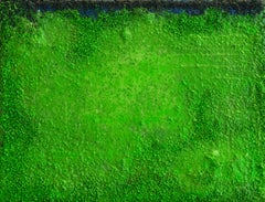 Campo di colore
