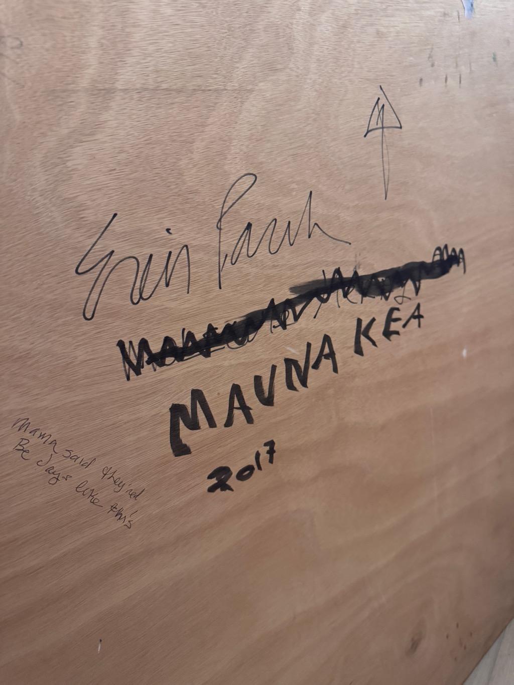 Mauna Kea in vendita 5