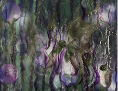 Seaweed Sojourn