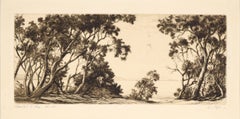 "Coastal Ti Tree" Gums NSW Drypoint Etching in Ink on Paper No. 30/100