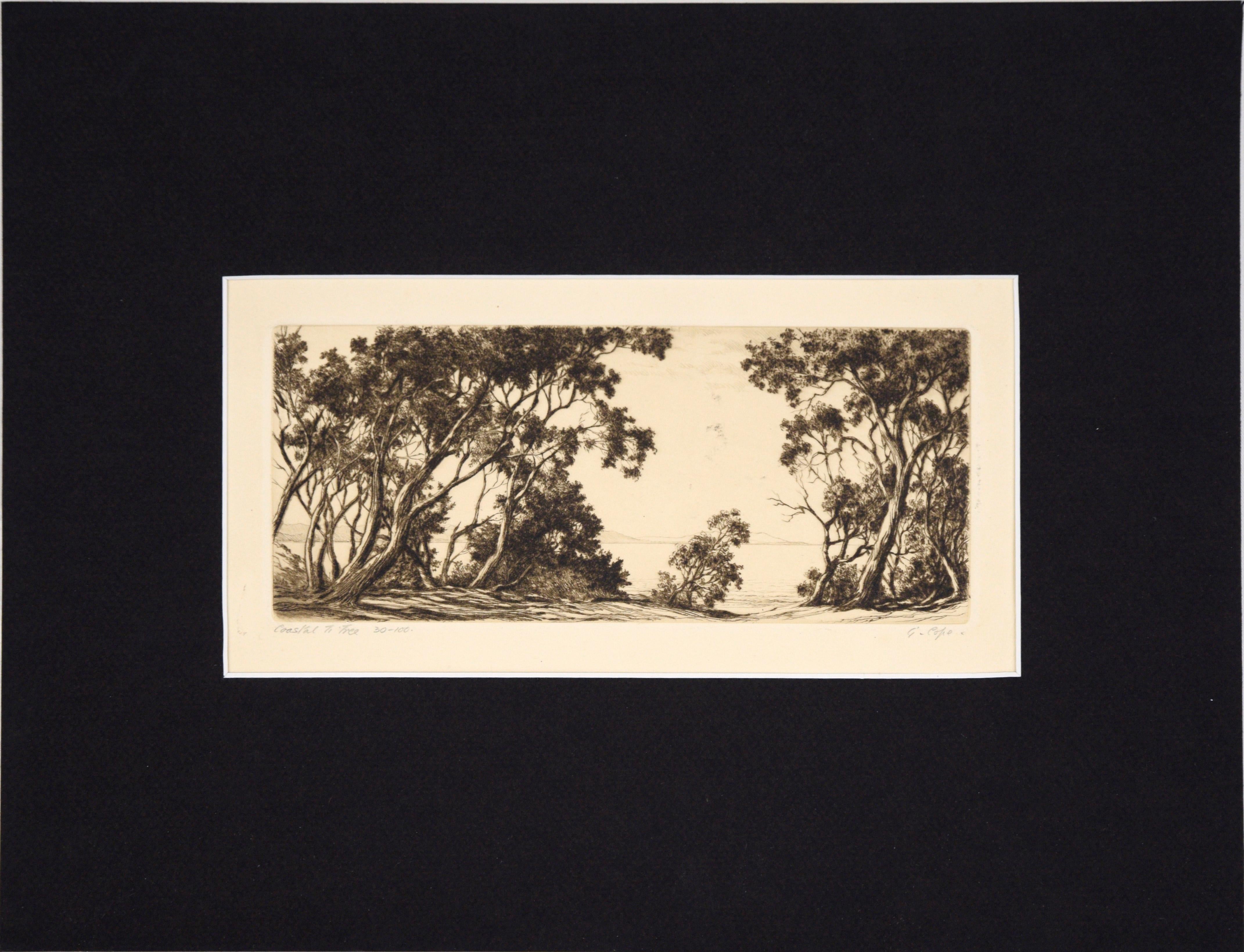 "Coastal Ti Tree" Gums NSW Gravure à la pointe sèche à l'encre sur papier n° 30/100