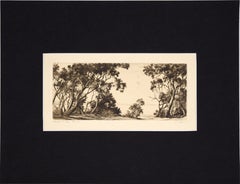 Antique "Coastal Ti Tree" Gums NSW Drypoint Etching in Ink on Paper No. 30/100