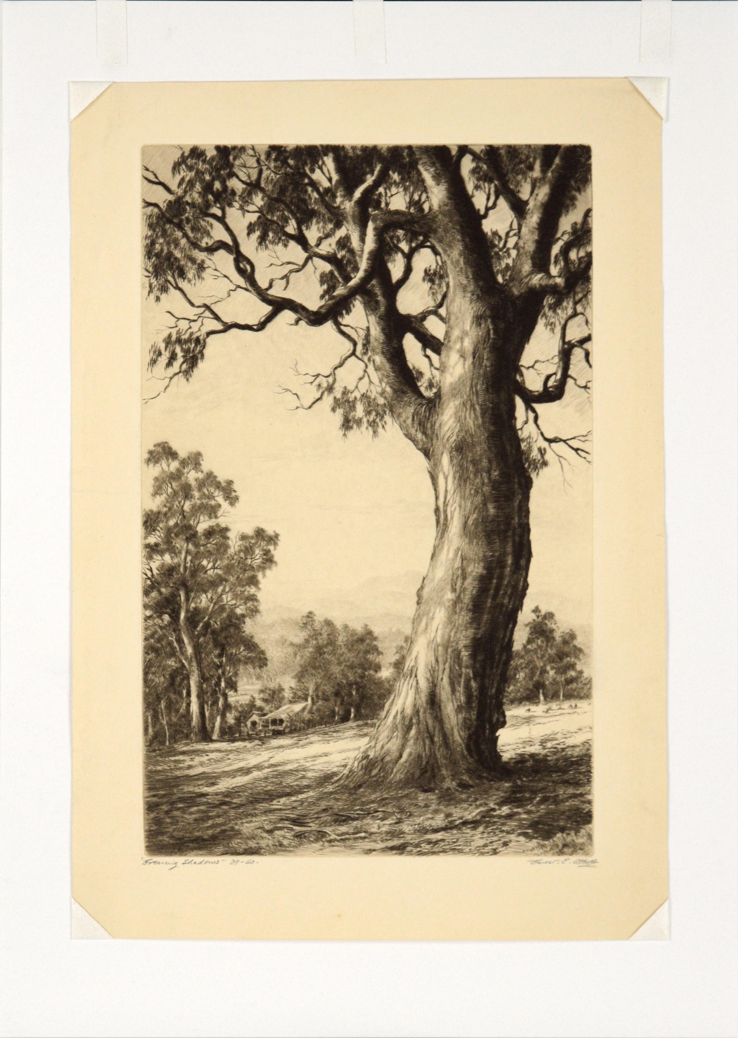 Early 20th century landscape etching of a detailed, idyllic scene with a tall tree in the foreground by Ernest Edwin Abbott (Australian, 1888-1973). Titled (