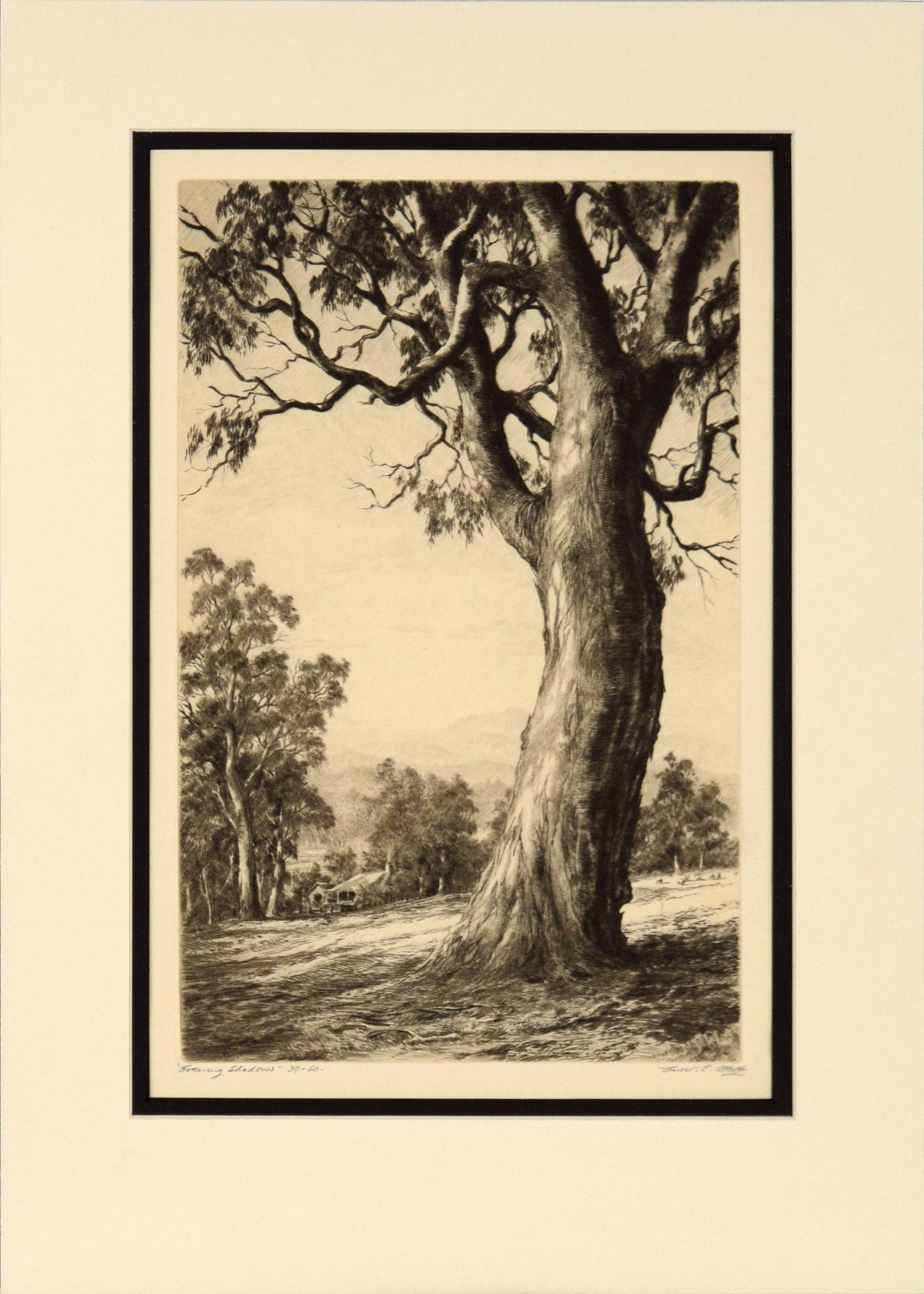 Ernest Edwin Abbott Landscape Print - "Evening Shadows" Early 20th Century Landscape Etching with Tree