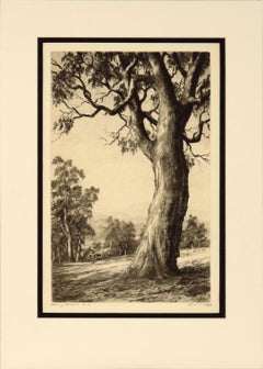 "Evening Shadows" Early 20th Century Landscape Etching with Tree