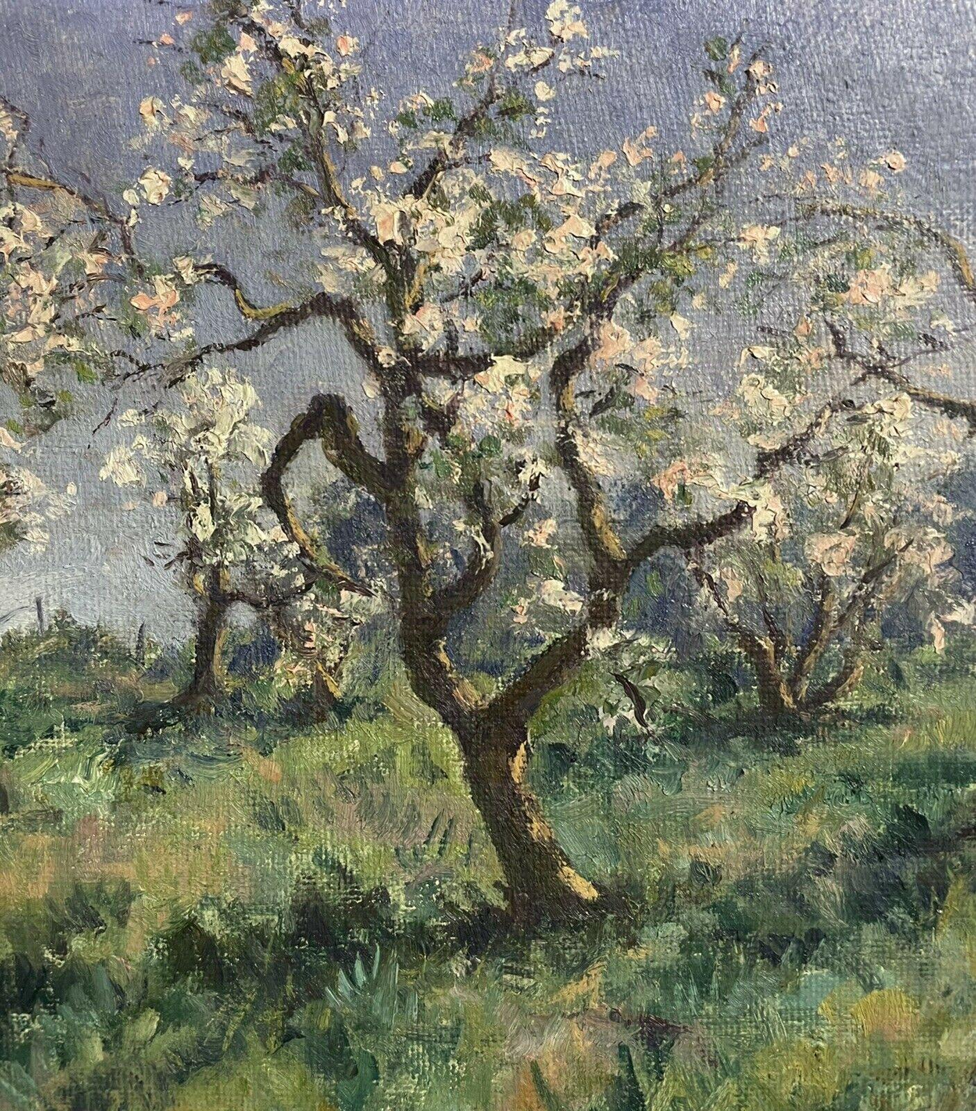 Orchard Trees with Blossom, Spring Landscape, Signed English Oil Painting - Gray Still-Life Painting by Ernest Knight