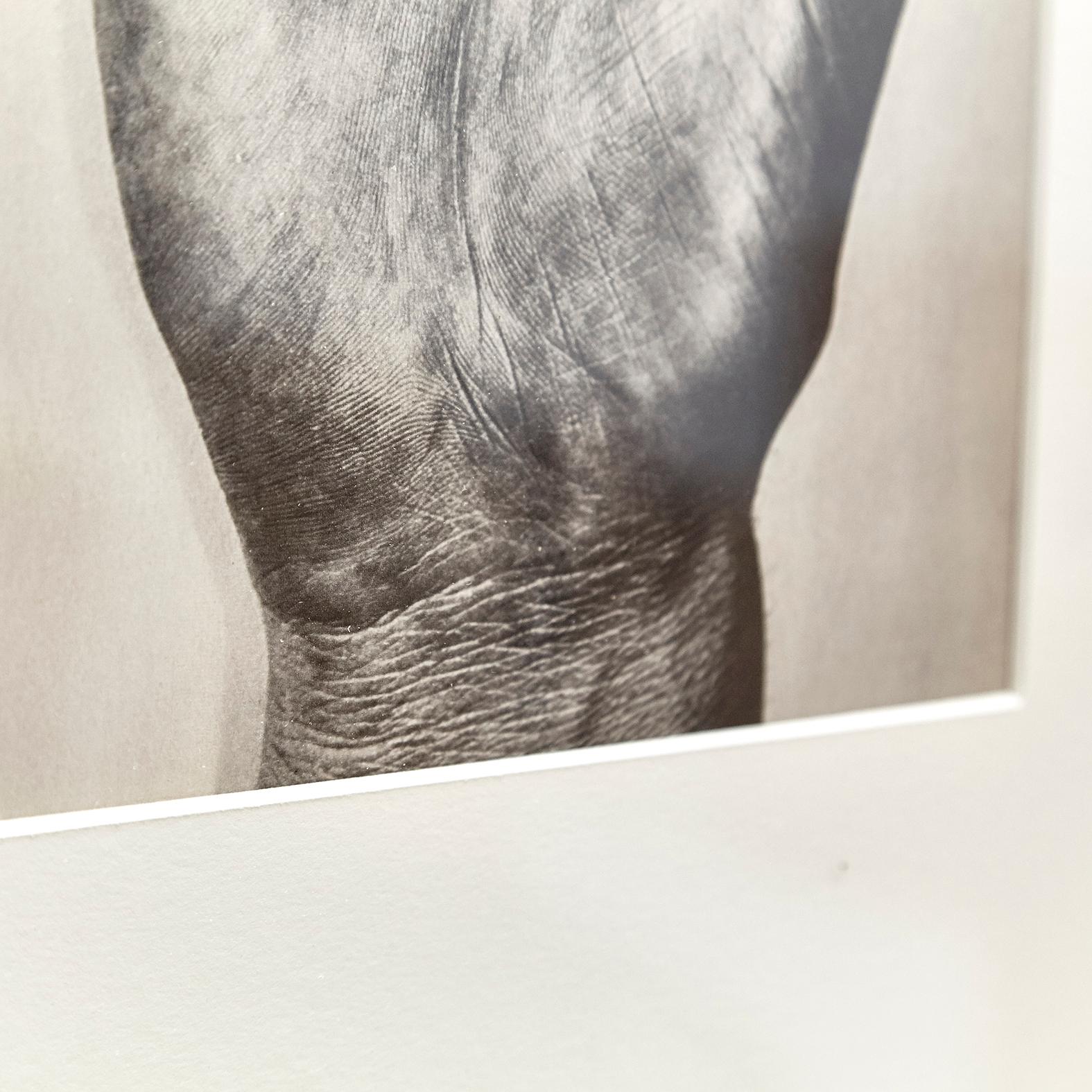Paper Ernest Koehli, Black and White Right Hand Photogravure Plate