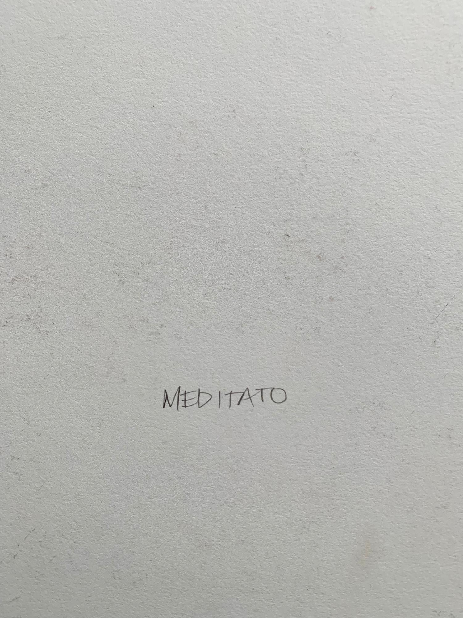 « Mediitato » d'Ernest Tino Trova, sérigraphie sur carton de musée en vente 4
