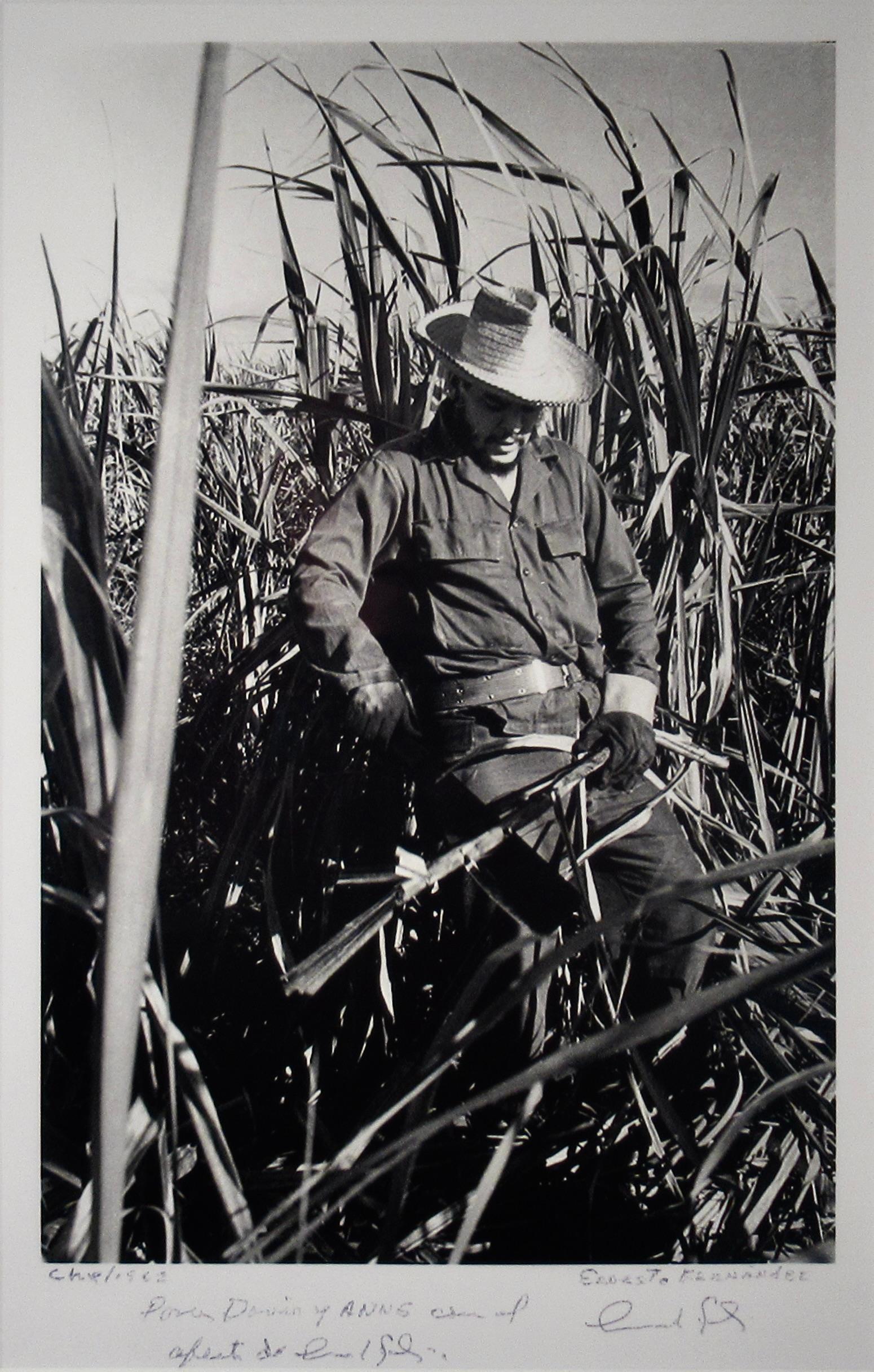 Che (Che Guevara cutting canes) - Photograph by Ernesto Fernandez Nogueras