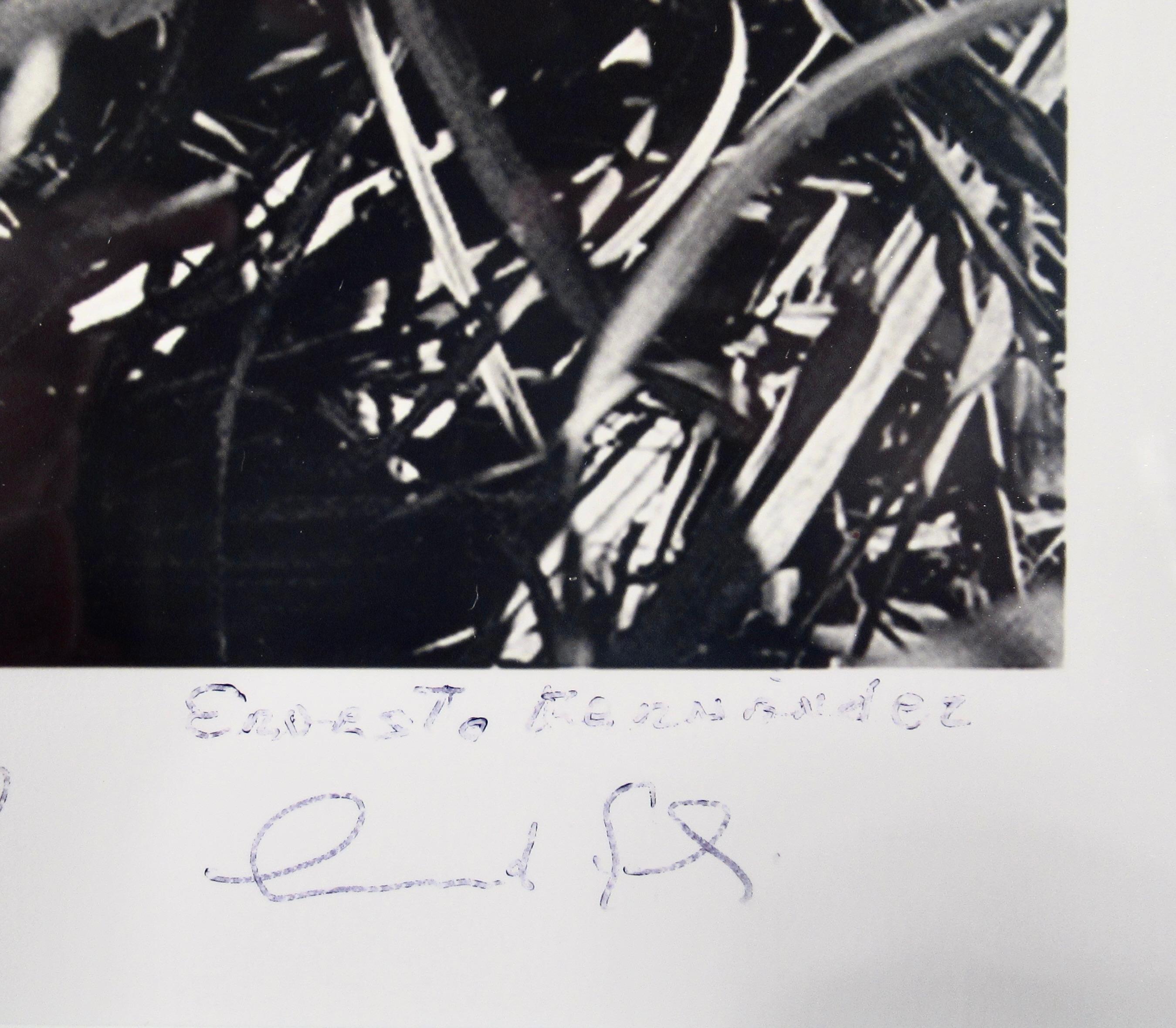 Che (Che Guevara cutting canes) For Sale 1
