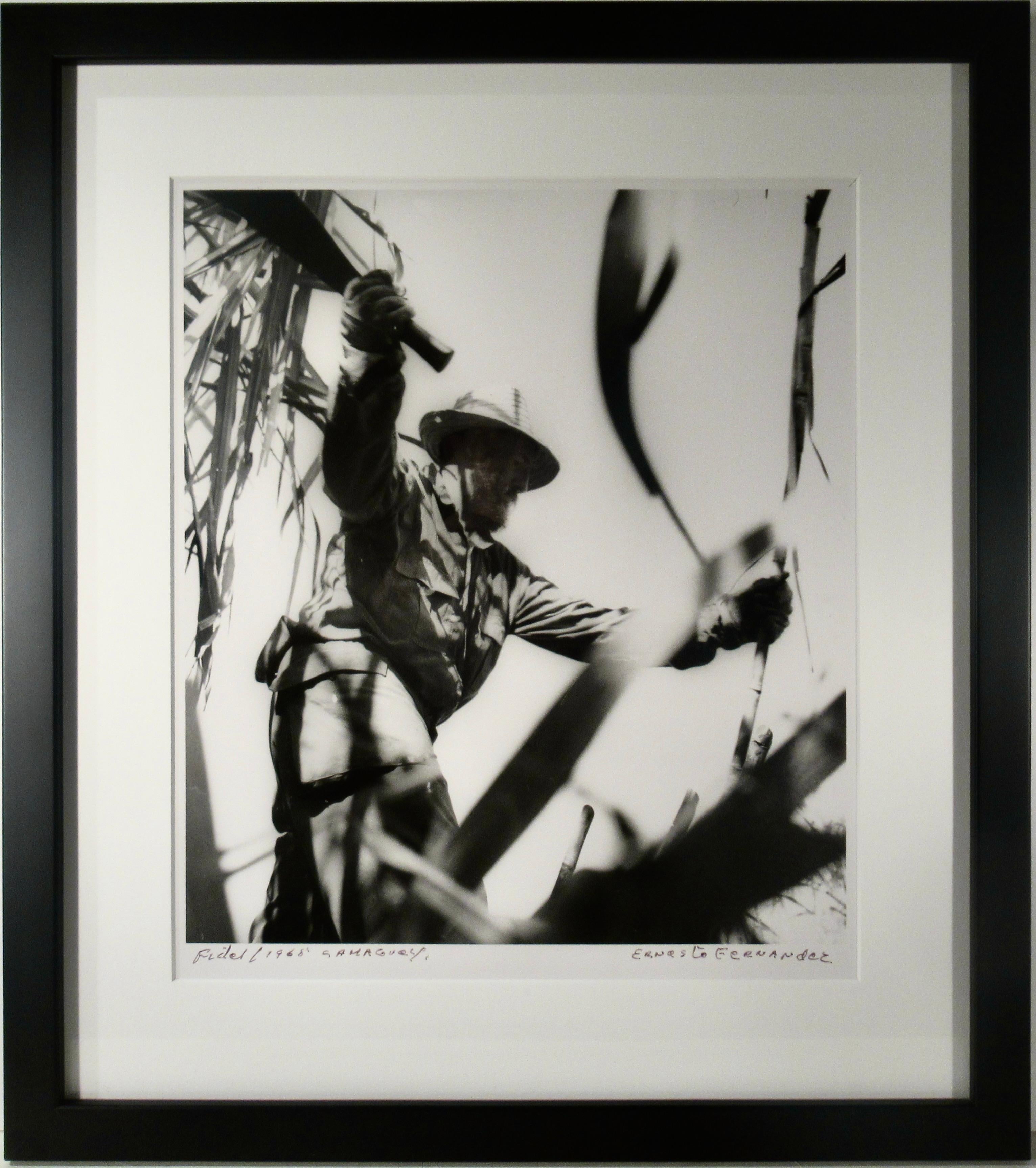 Ernesto Fernandez Nogueras Black and White Photograph - Fidel C. (Fidel Castro Cutting Canes)