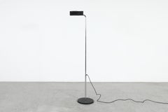 Ernesto Gismondi Terra Floor Lamp for Artemide Camera, 1980s