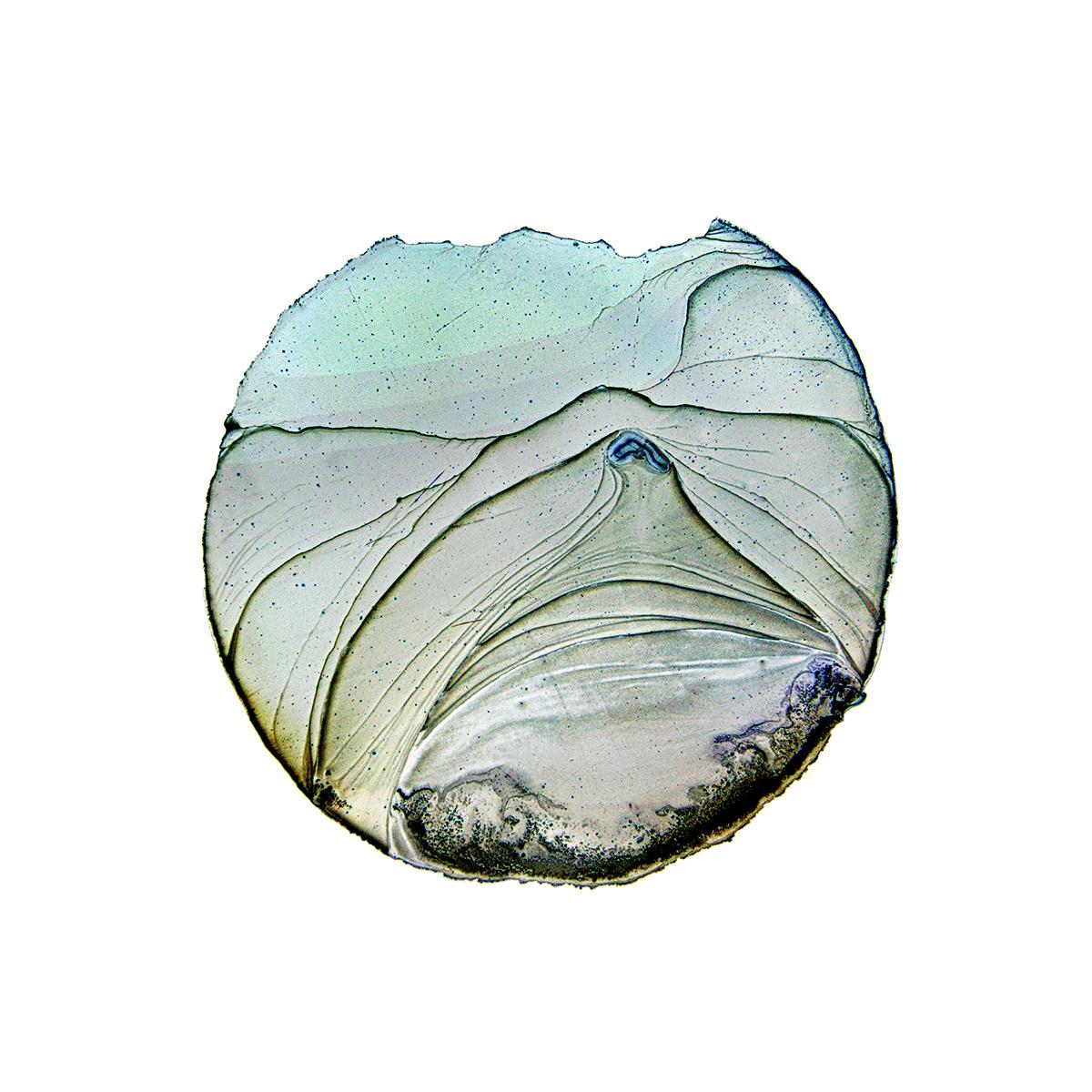 Color Photograph de Ernie Button - 5 Semanas en un Barril 4199, fotografía en color de edición limitada, firmada y numerada.