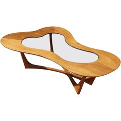 Erno Fabry Biomorphic Coffee Cocktail Table Midcentury