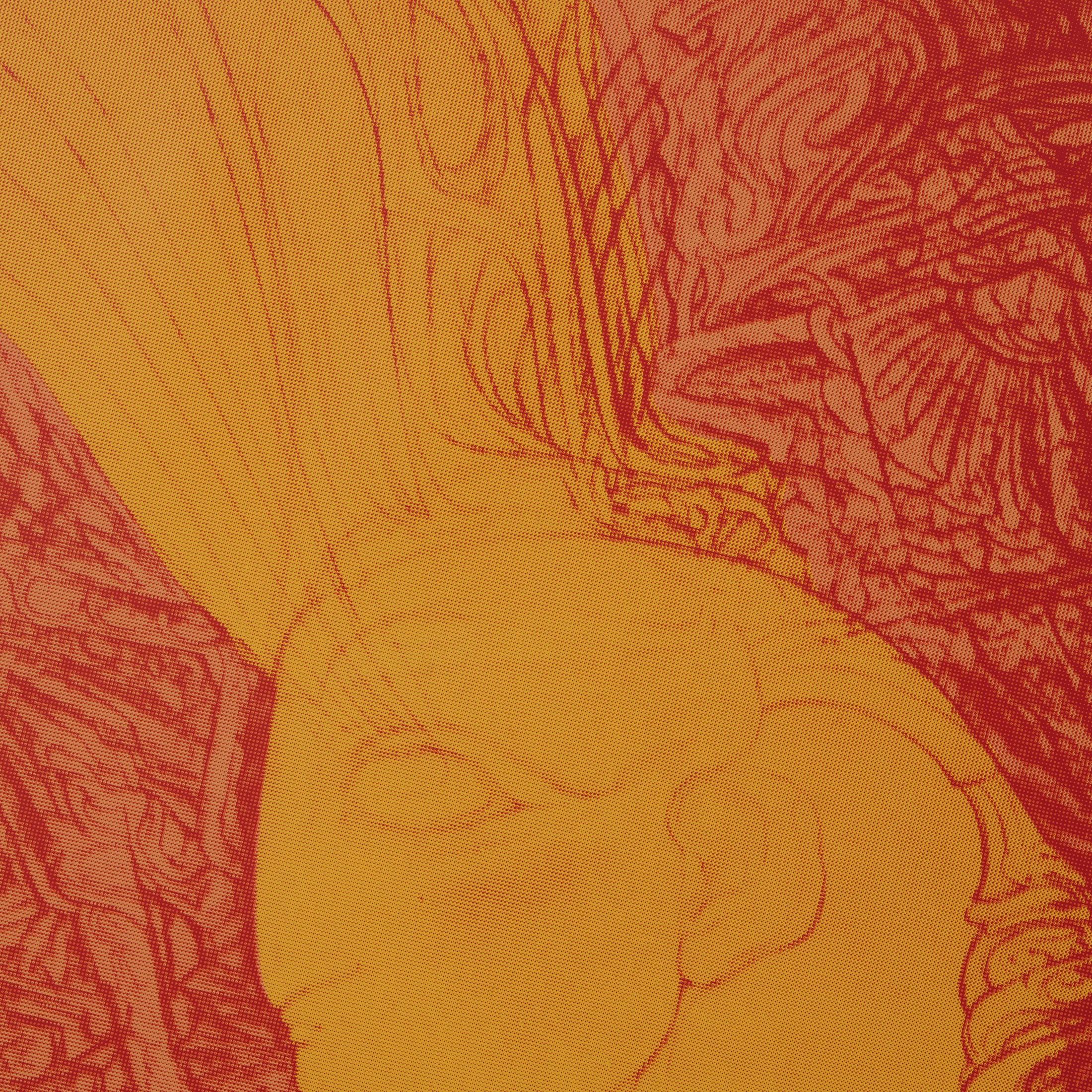 Ernst Fuchs (1930 - 2015)  „Herz eines Cherubs“, geschaffen 1982  Farbe Siebdruck (Moderne) im Angebot