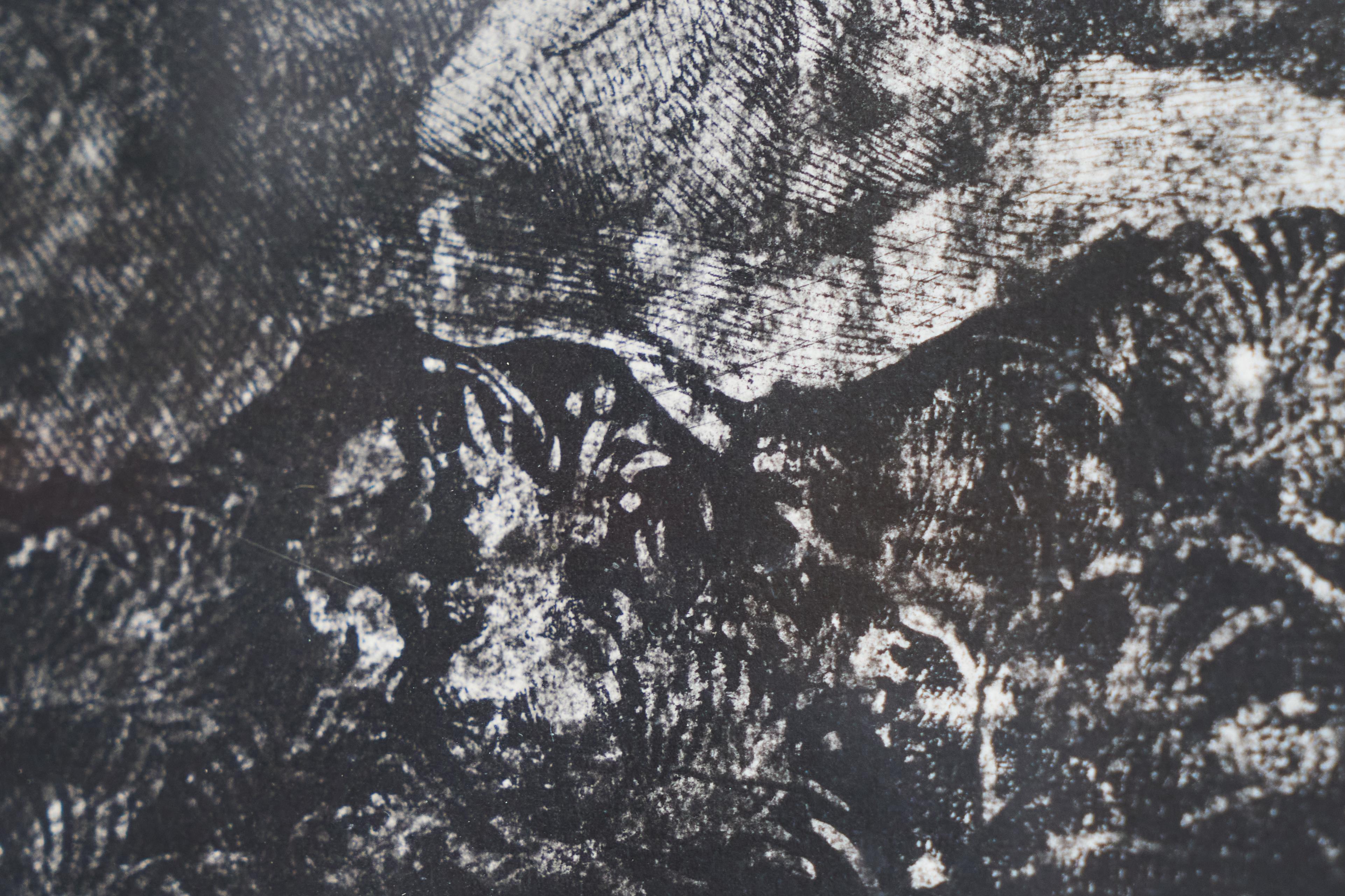 Ernst Fuchs 'Waldidylle vor der Himmelsmauer' Prova d'artista firmata a mano 1974 in vendita 2