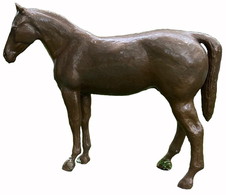 Quarter Horse