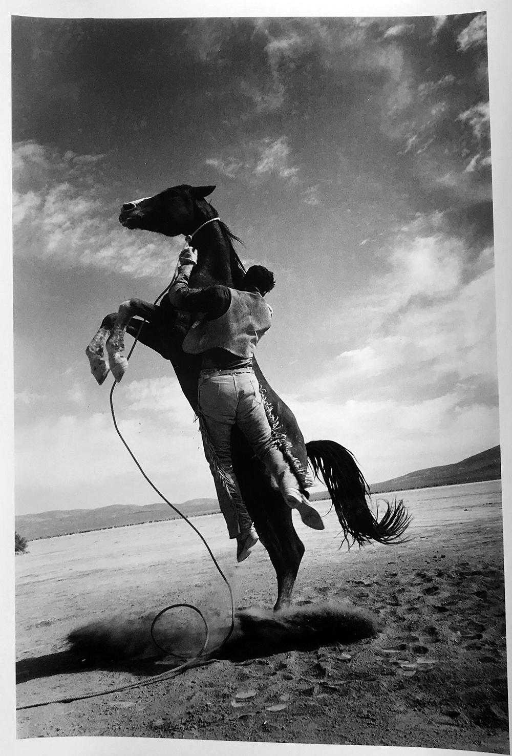 Jumping Horse, Contemporary Black and White Photography of Mustang Horses 1960s
