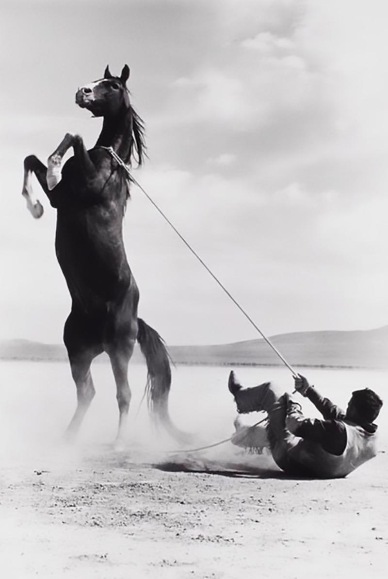 Mustang by Ernst Haas, is a 14 x 11 gelatin silver print. From the set of the film classic The Misfits, a 1961 American drama film written by Arthur Miller, Haas's print of a stuntman with mustang, a free-roaming or wild horse of the American west,