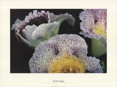 Ernst Haas "Gloxinia" 1992- Litografía offset
