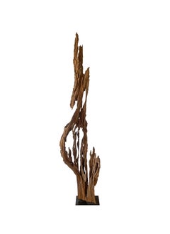 Scultura di scheletro di albero di teak eroso su supporto, fine XX secolo