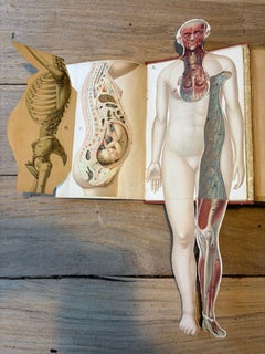 Erotic Medical Guide with 21 Chromolithographs and Clasp Binding, c.1900