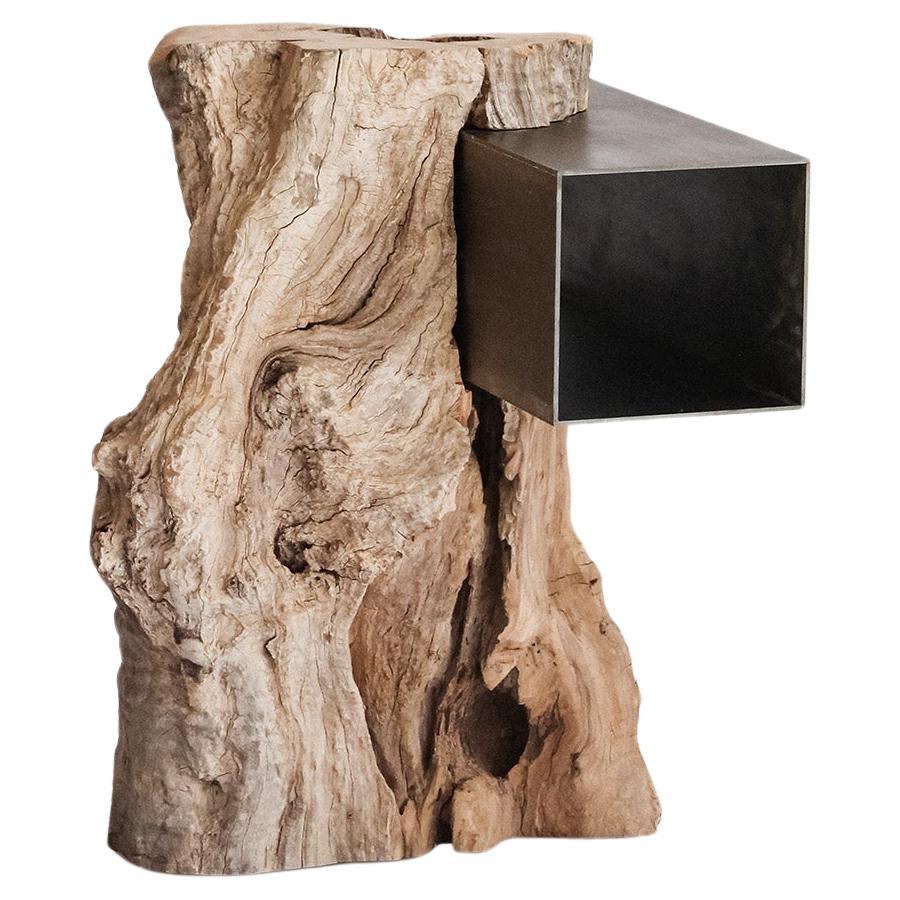 able Description

This table embodies the perfect balance between functionality and minimalist aesthetics. With a robust yet refined structure, it harmoniously combines wood and steel, resulting in a piece that stands out for its simplicity and