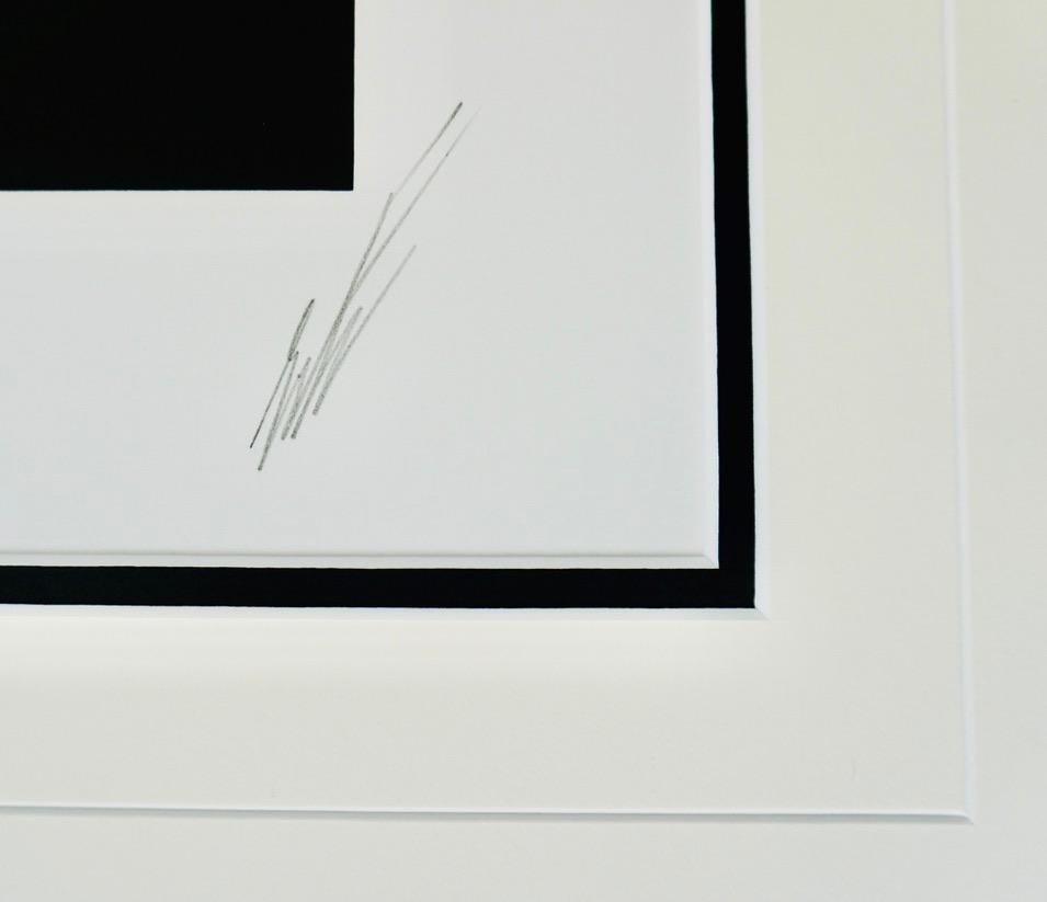 Ebenholz und Weiß (Grau), Portrait Print, von Erté