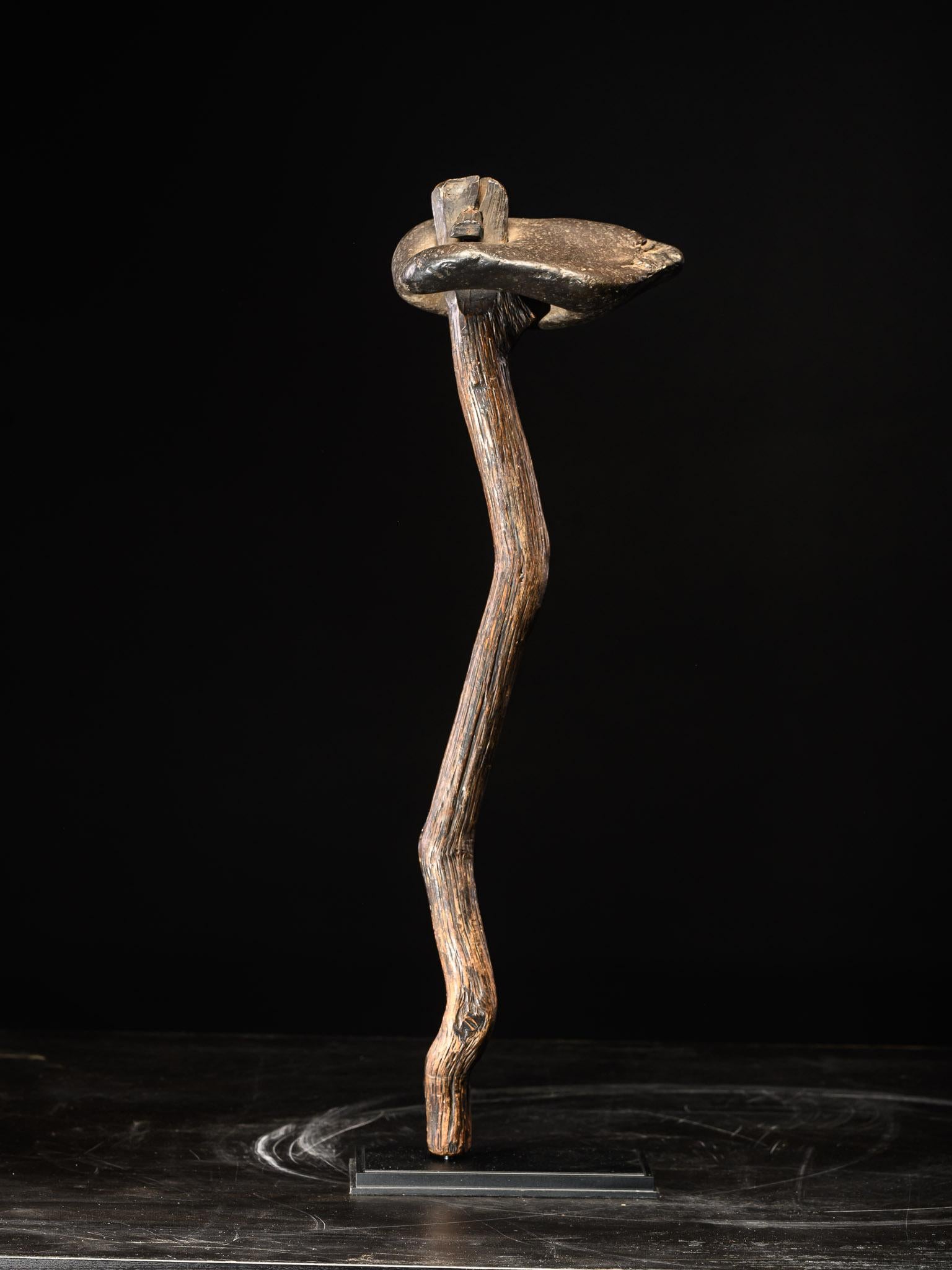 Este fascinante artefacto, un cetro de madera dura atribuido a un erudito japonés, es un ejemplo magistral de la artesanía de finales del siglo XIX. El cetro se distingue por una llamativa roca negra sujeta firmemente a su remate, lo que le confiere
