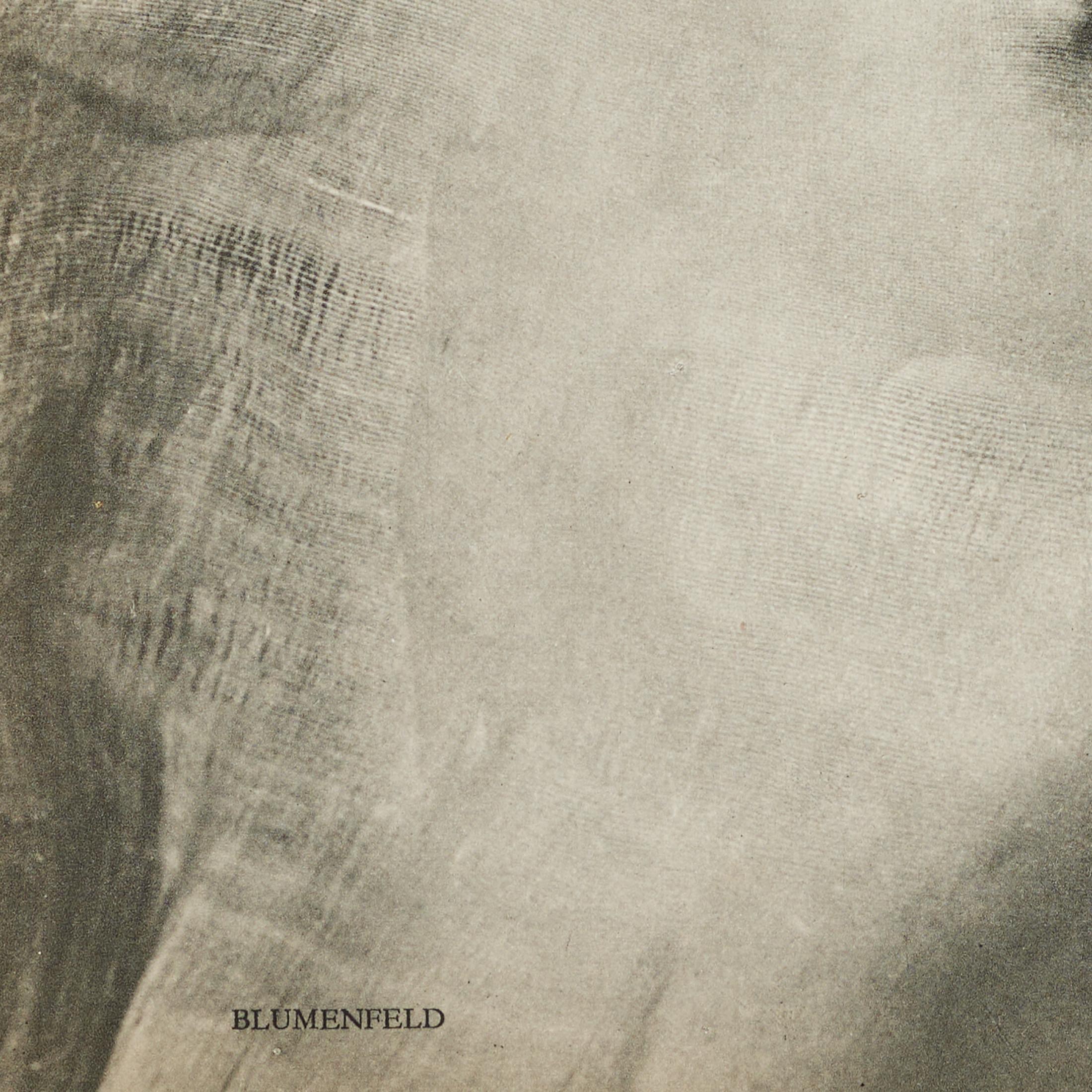 Erwin Blumenfeld Heliogravüre aus Verve Vol. I Nr. 1, Paris 1937 - Gerahmt im Angebot 6