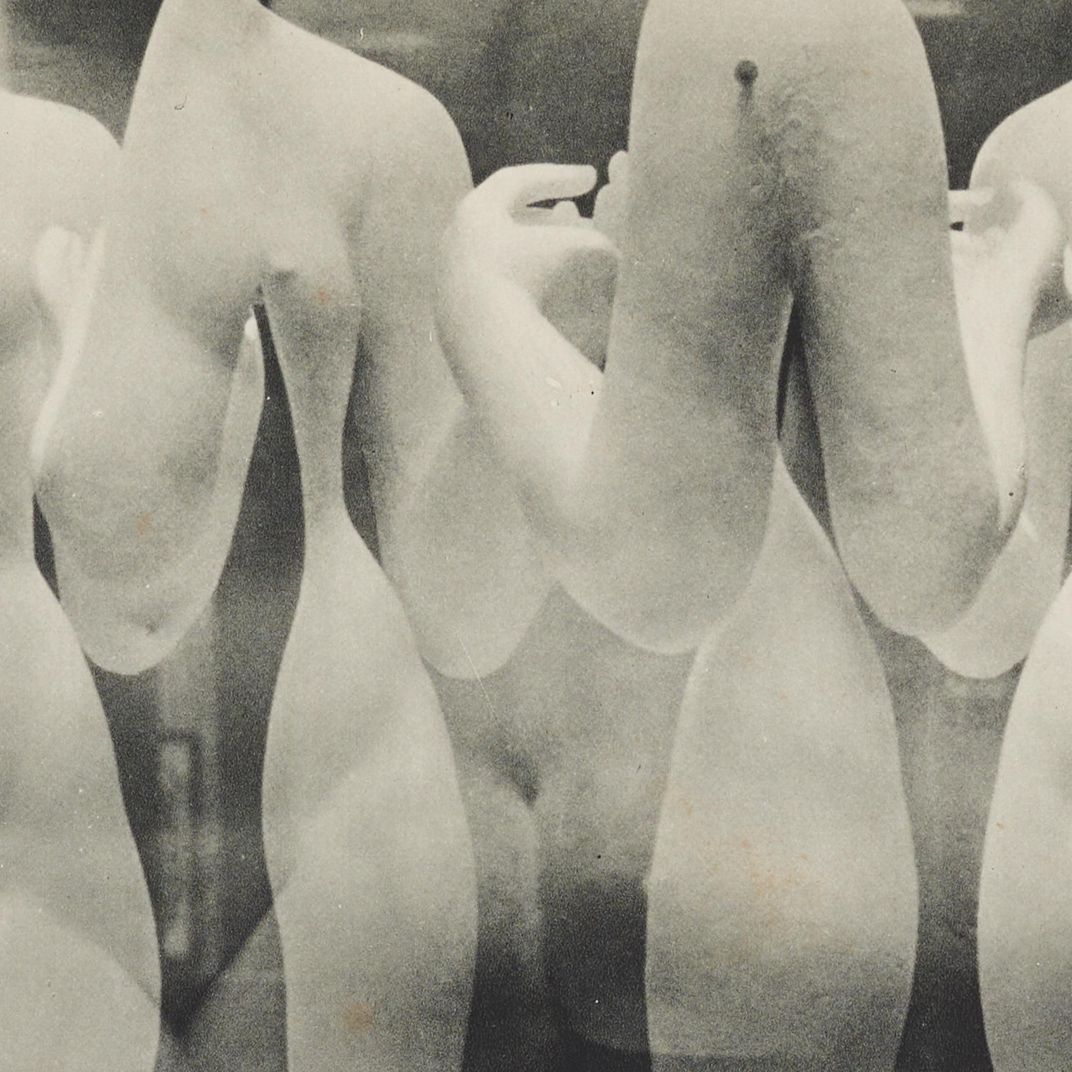 Erwin Blumenfeld Heliogravüre aus Verve Vol. I Nr. 1, Paris 1937 - Gerahmt im Angebot 6