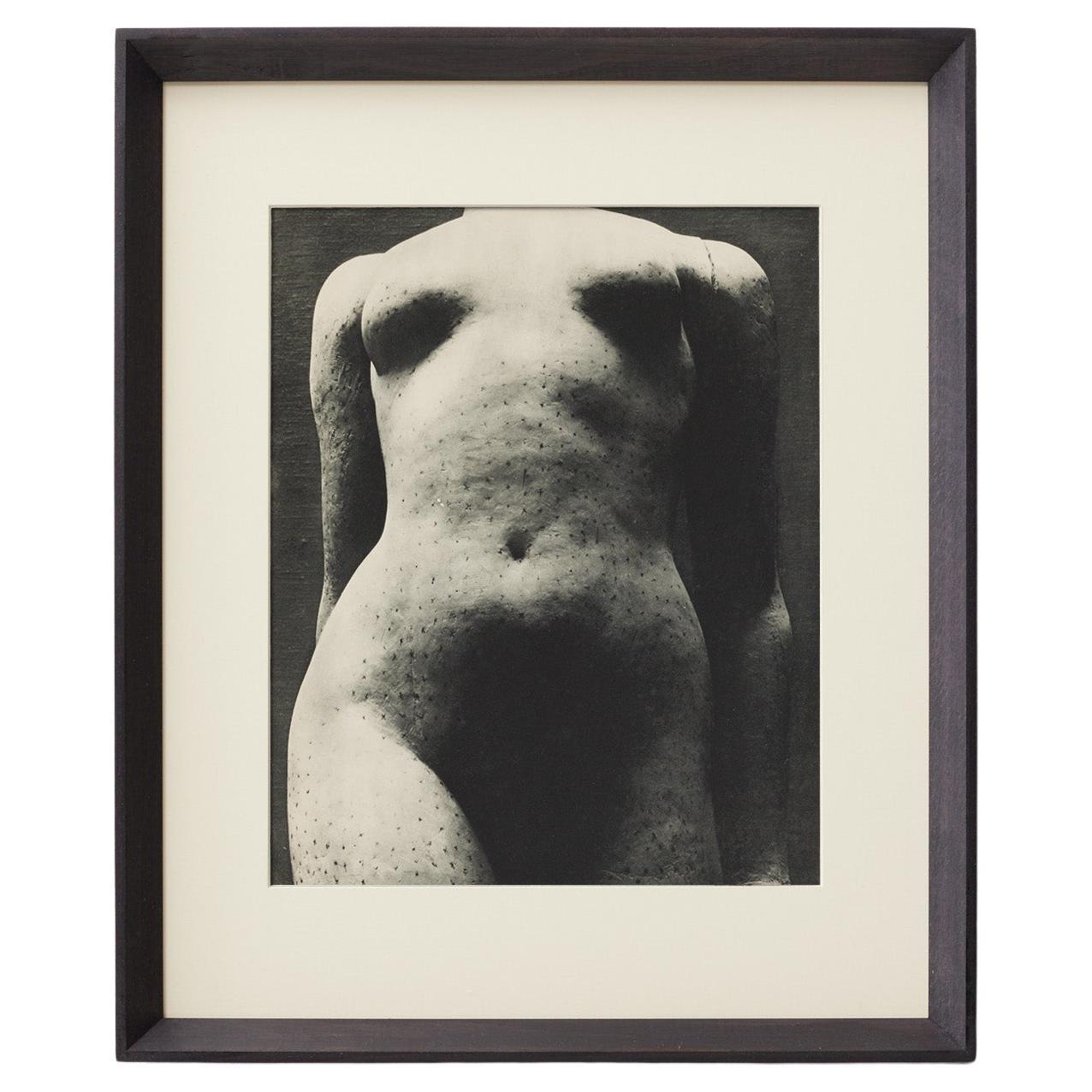 Erwin Blumenfeld Heliogravüre aus Verve Vol. I Nr. 1, Paris 1937 - Gerahmt