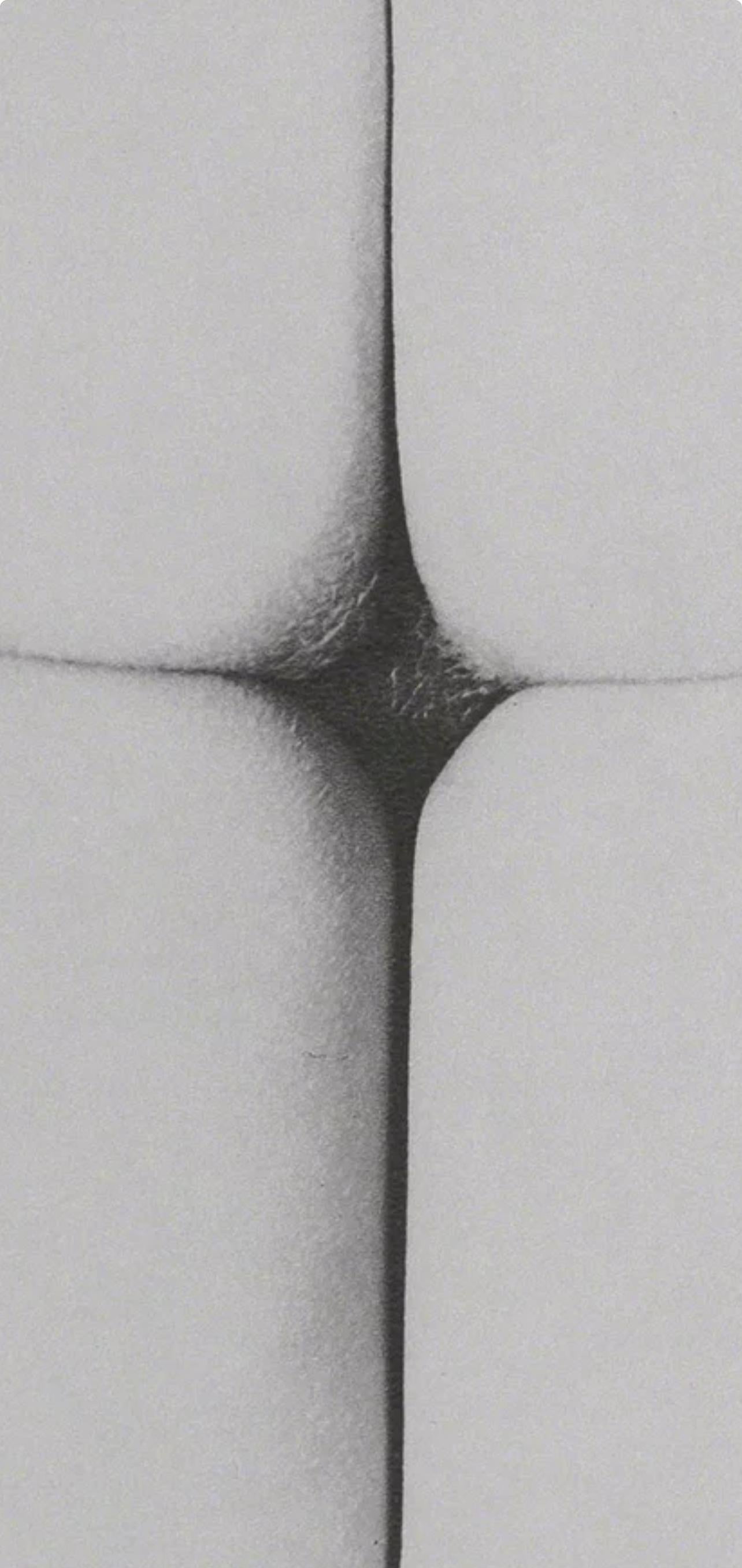 Blumenfeld, Composición, Erwin Blumenfeld, Carteras Electa Editrice (después) 2