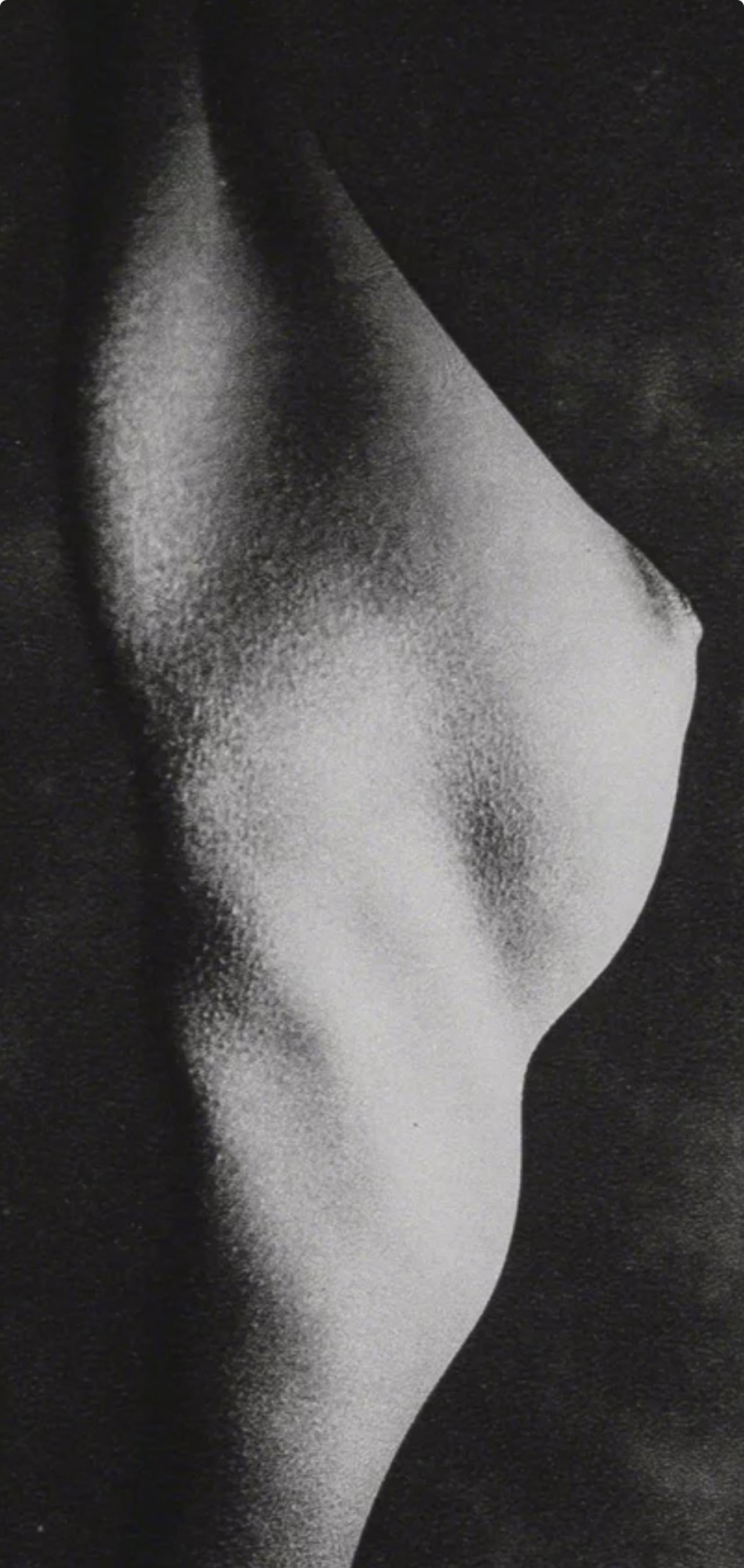 Blumenfeld, Composition, Erwin Blumenfeld, Electa Editrice Portfolios (after) For Sale 2