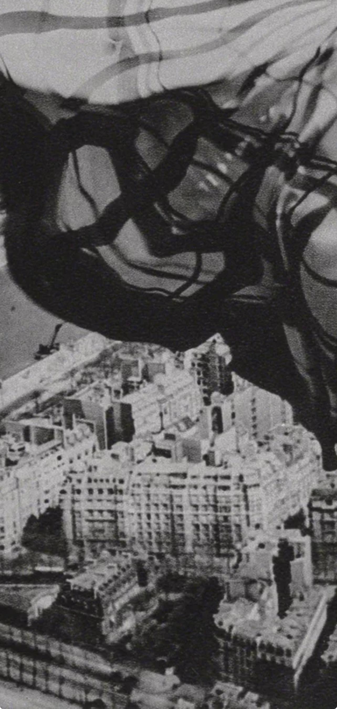 Blumenfeld, Composición, Erwin Blumenfeld, Carteras Electa Editrice (después) 2