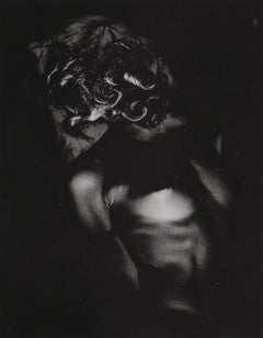 Blumenfeld, Composizione, Erwin Blumenfeld, Electa Editrice Portfolios (dopo)