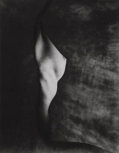 Blumenfeld, Composizione, Erwin Blumenfeld, Electa Editrice Portfolios (dopo)