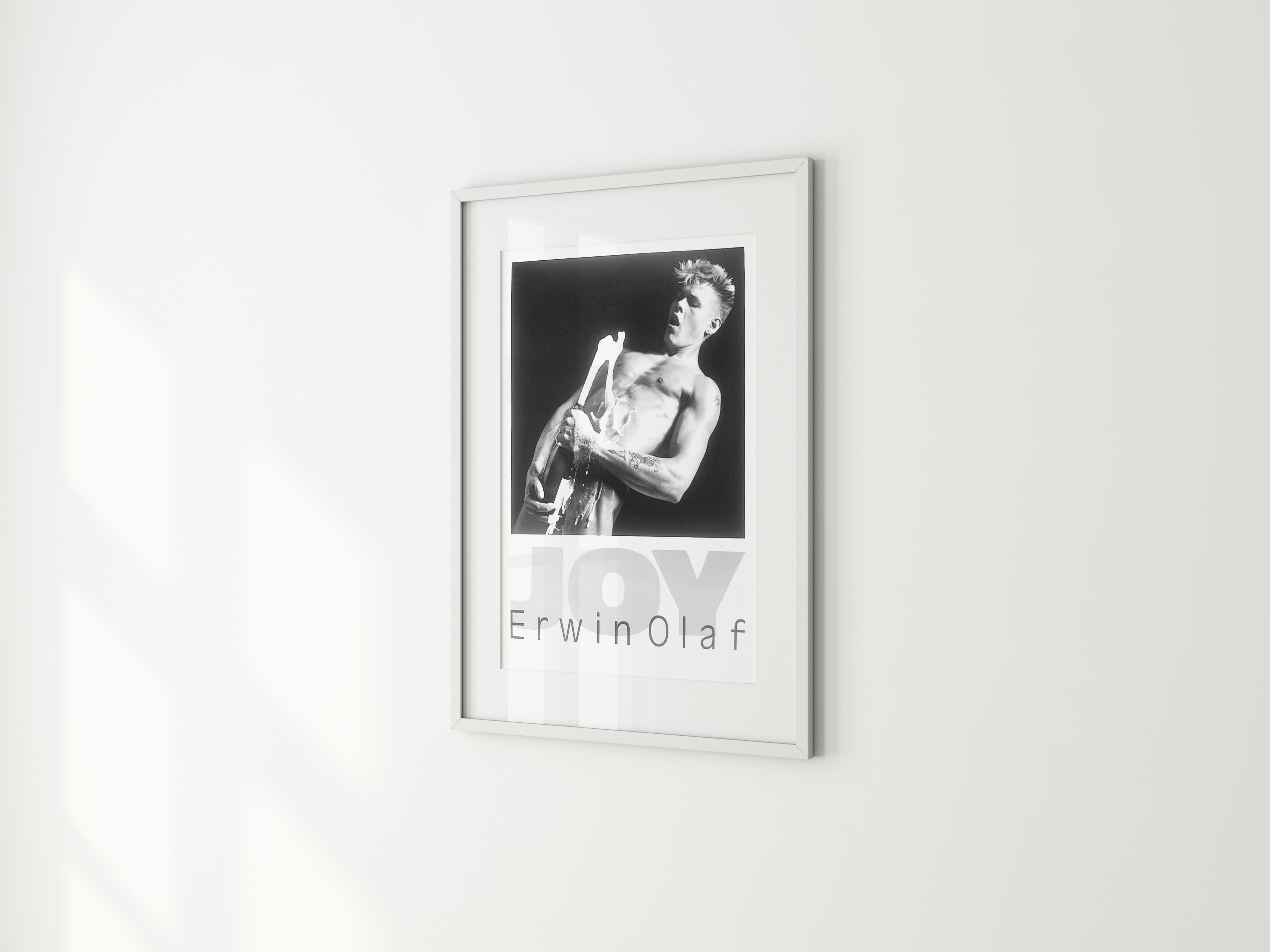 erwin olaf poster
