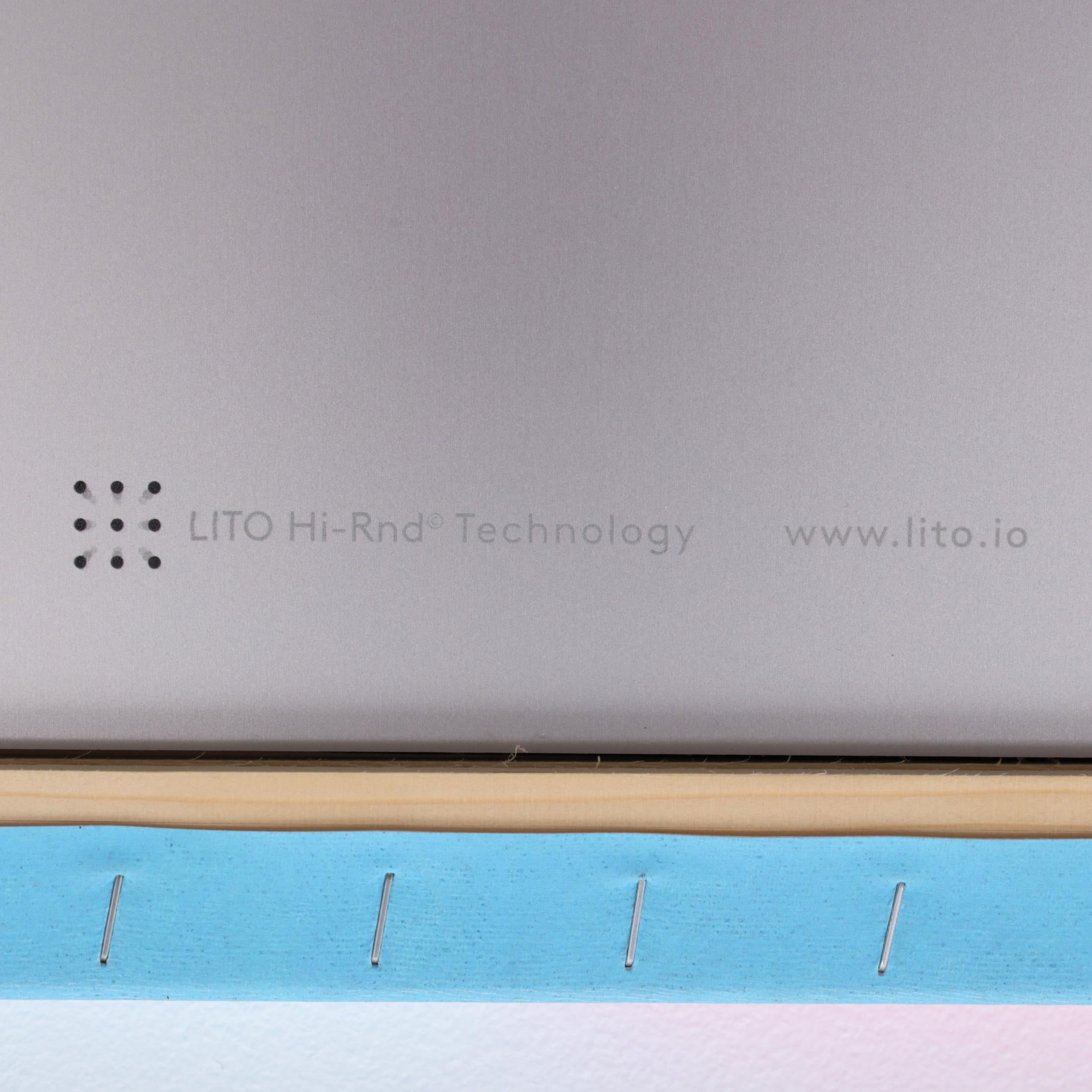 4 Erwin Wurm LITO Hi-Rnd Prints For Sale 12