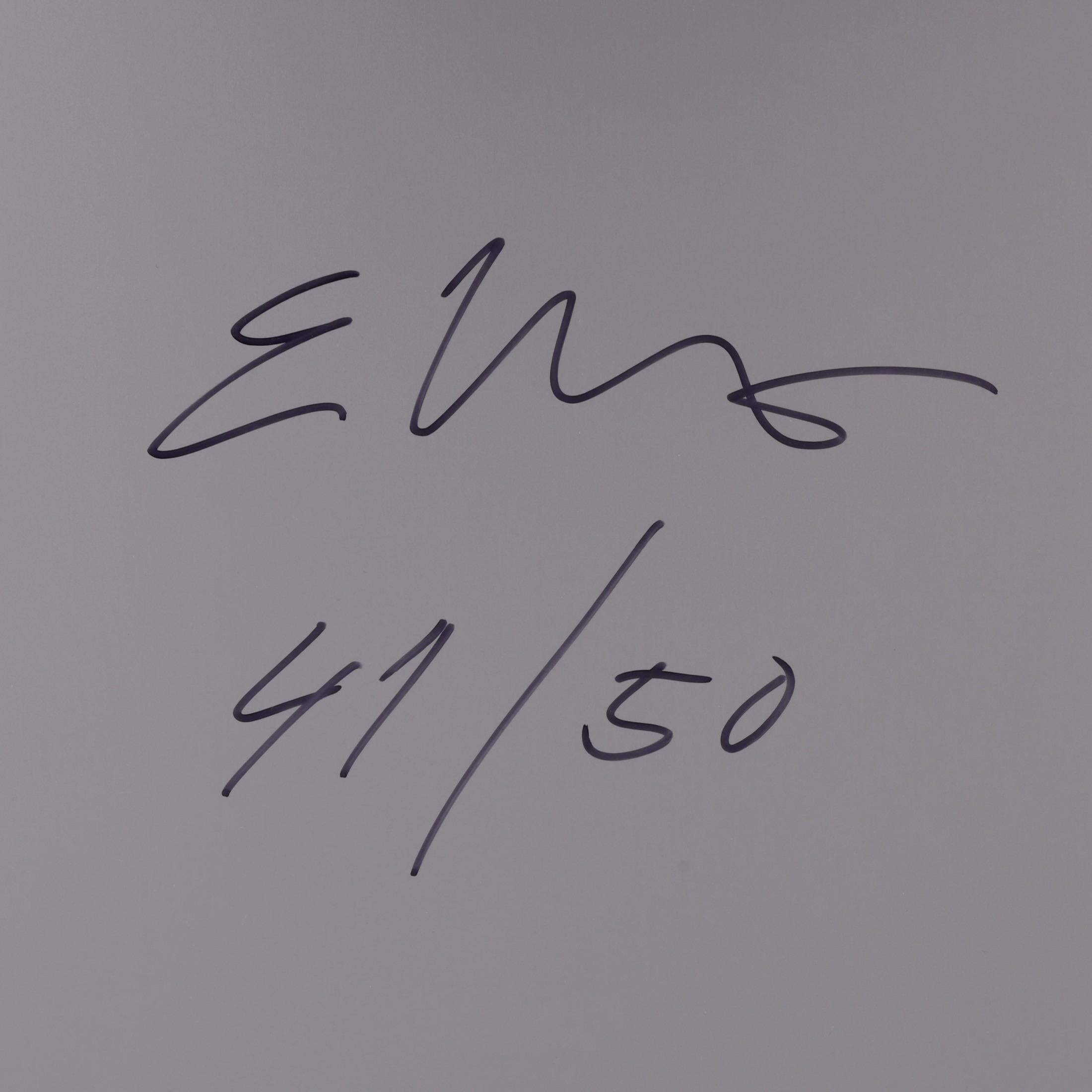 4 Erwin Wurm LITO Hi-Rnd Prints For Sale 14