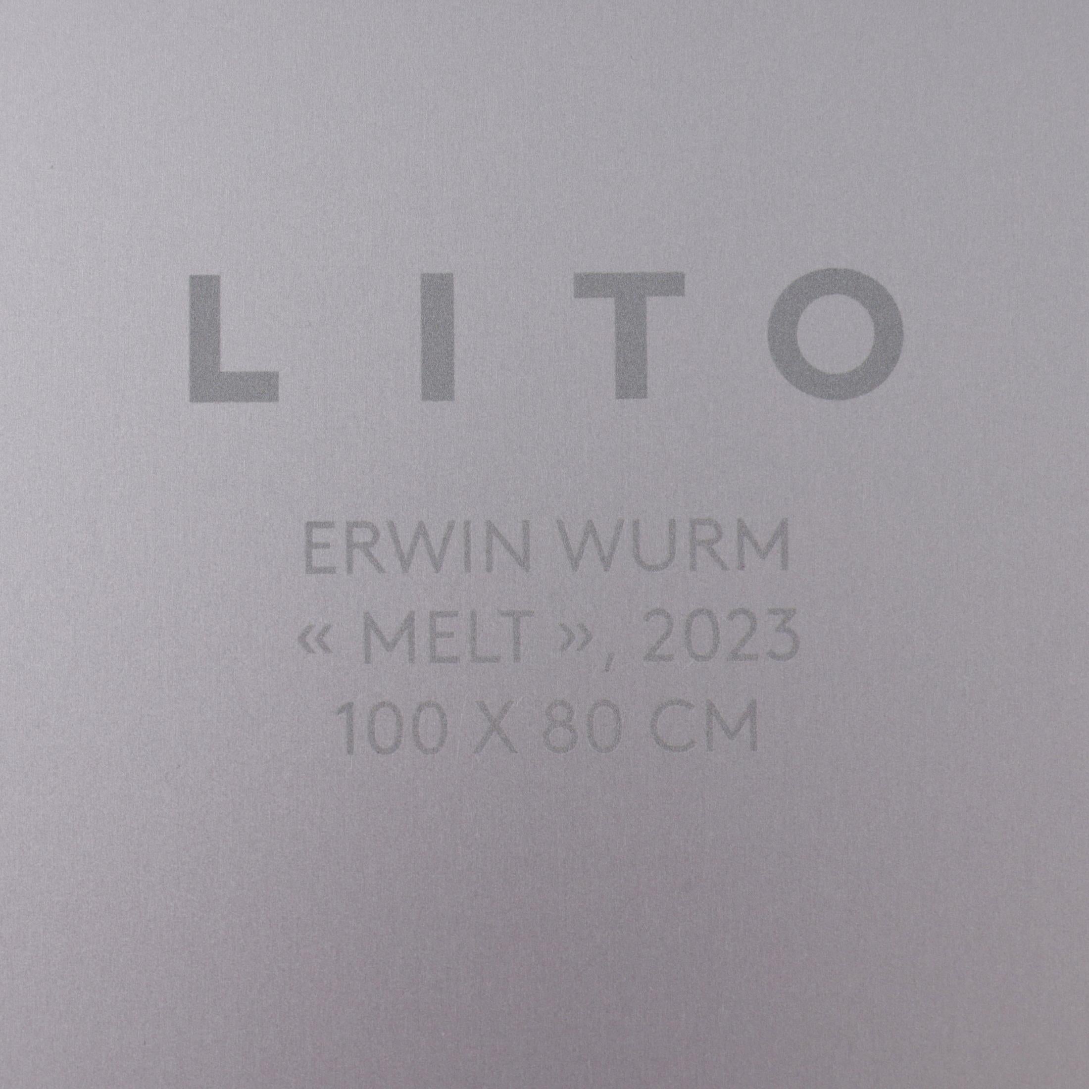 4 Erwin Wurm LITO Hi-Rnd Prints For Sale 15