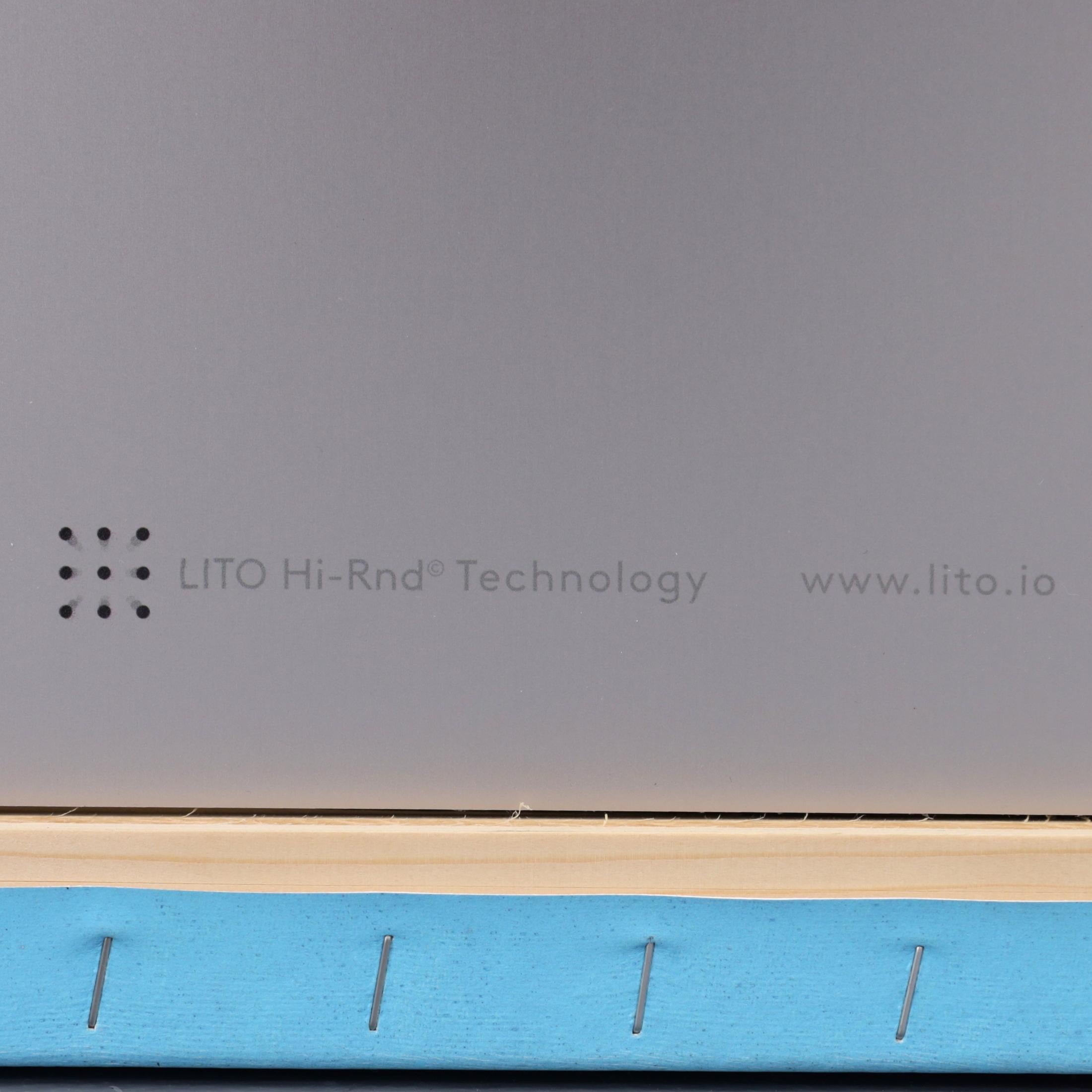 4 Erwin Wurm LITO Hi-Rnd Prints For Sale 16